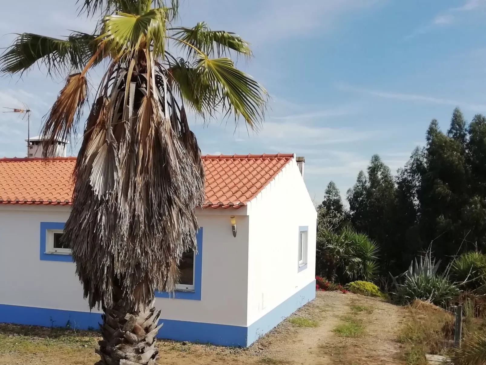 Monte Horizonte Casa Borboleta Öko und Natur-Draußen