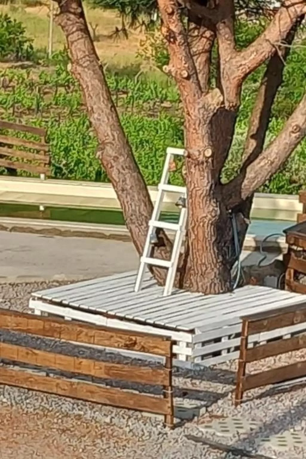 Weißes Haus in Douro Weinberge-Draußen