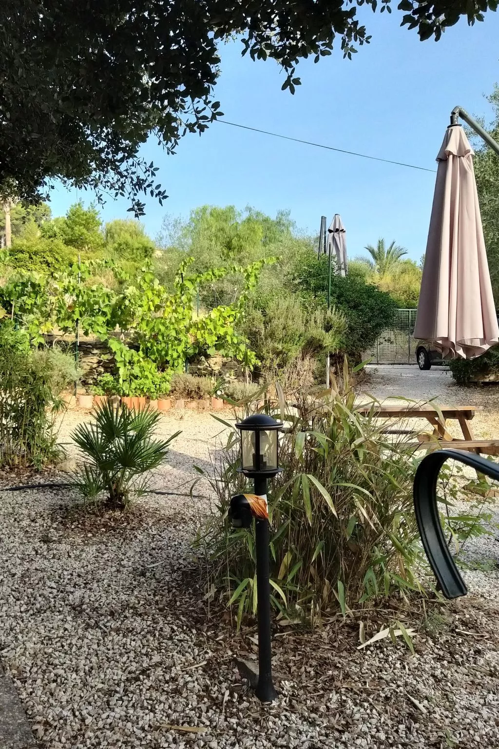 Mit Terrasse, mitten in der Natur-Outside