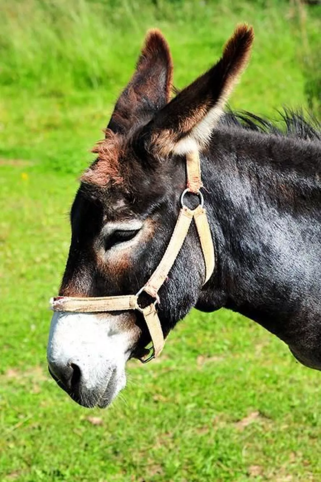 Mit Terrasse-Image-tags.info