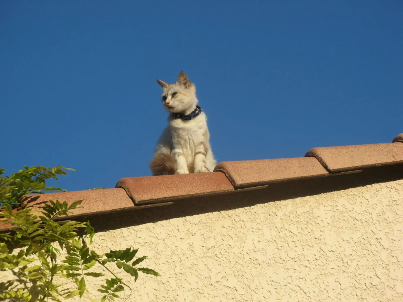À l'abri du Mistral-Draußen