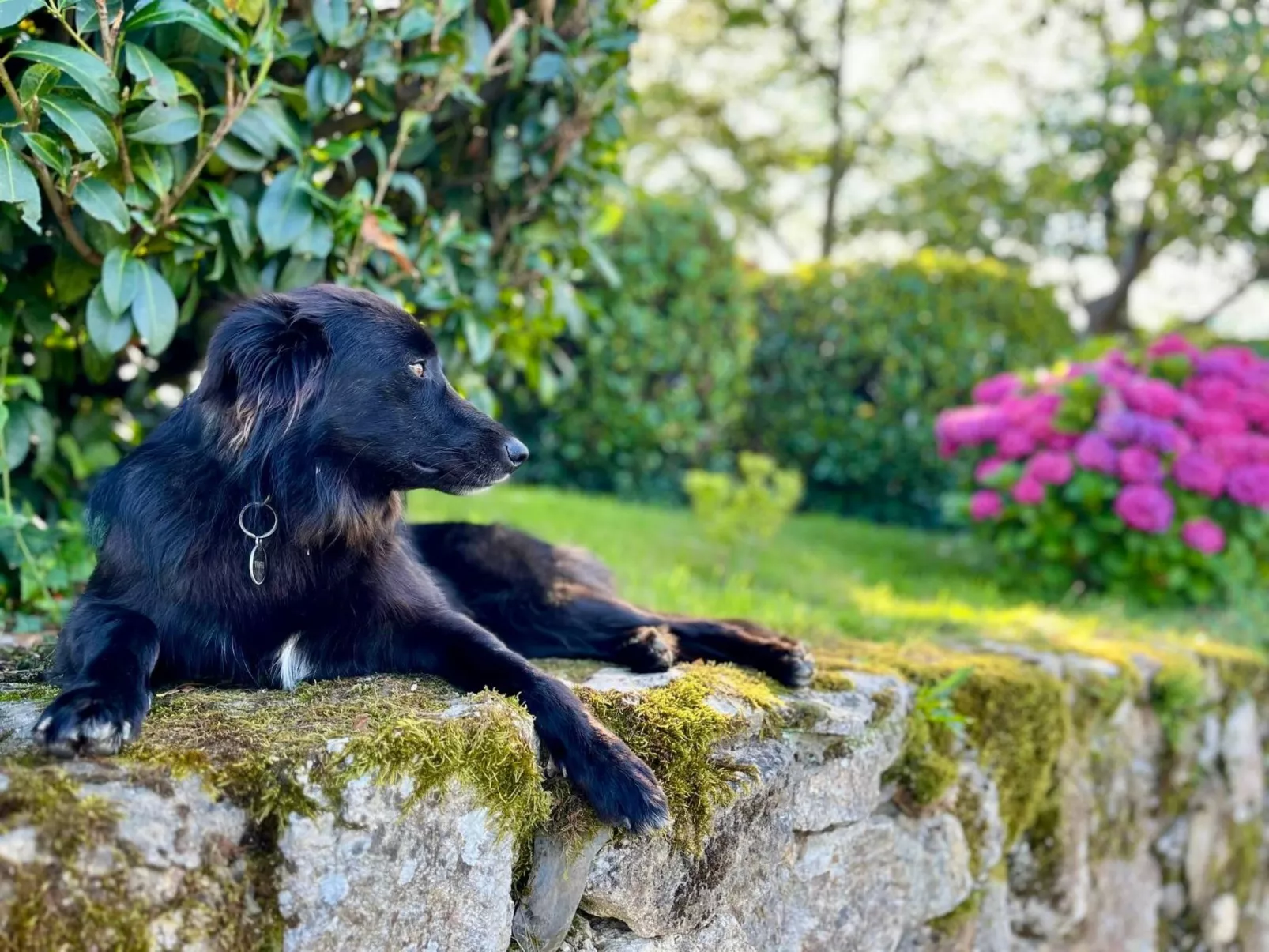 URSUYA-Image-tags.info