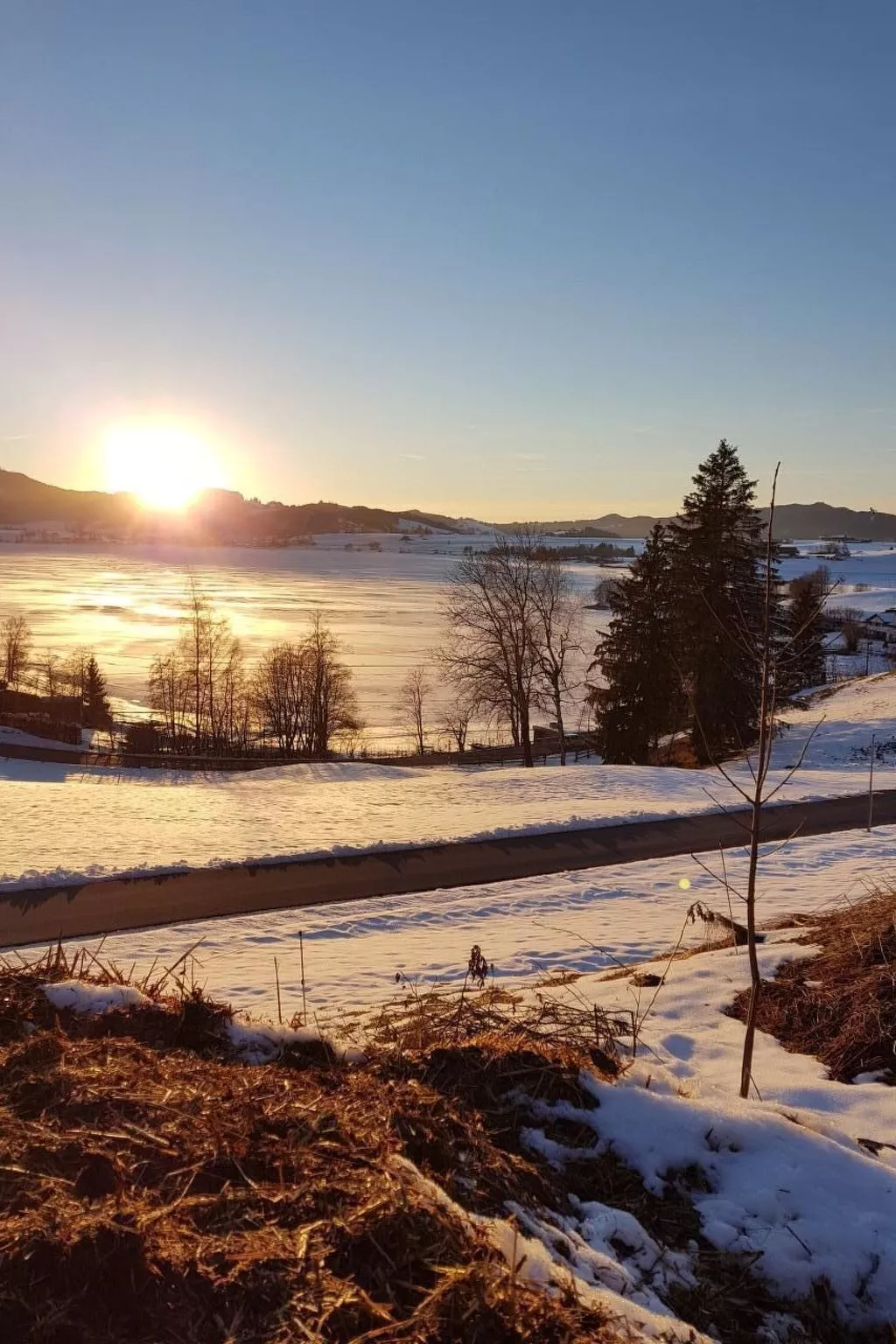 Biohof Tanngarten-Dehors