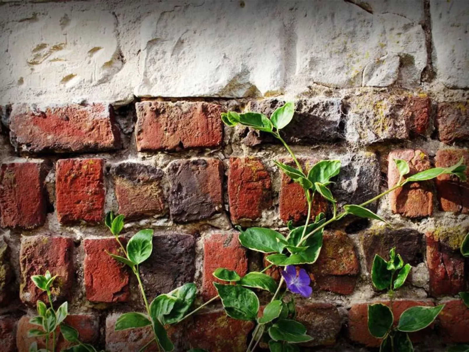 Liebevoll renoviertes Ferienhaus als Teil eines kleinen Bauernhauses mit abgesc-Draußen