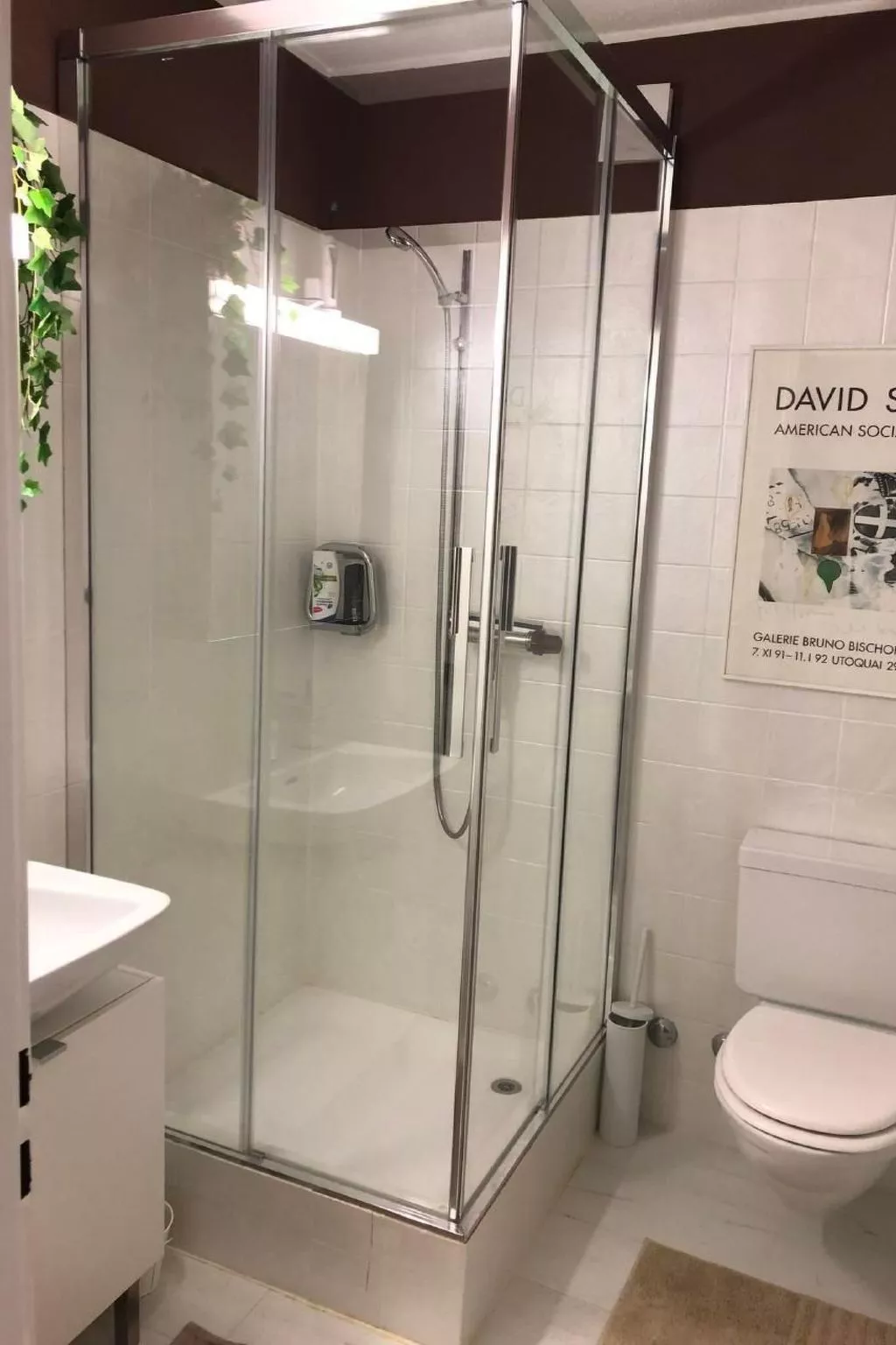 3.5 Zi - Ferienwohnung Miralago Morcote-Inside