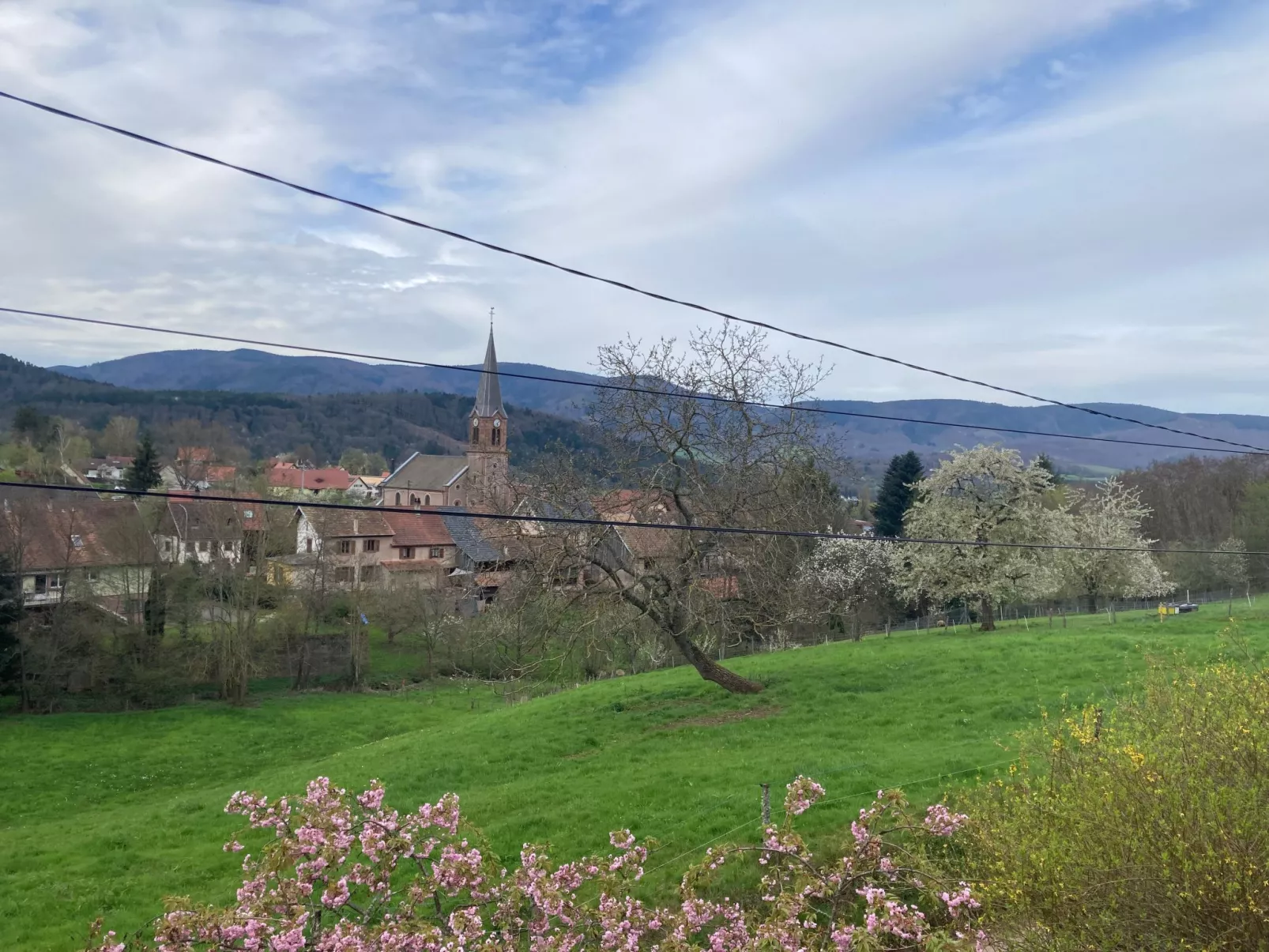 Gite des Cerisiers-Outside