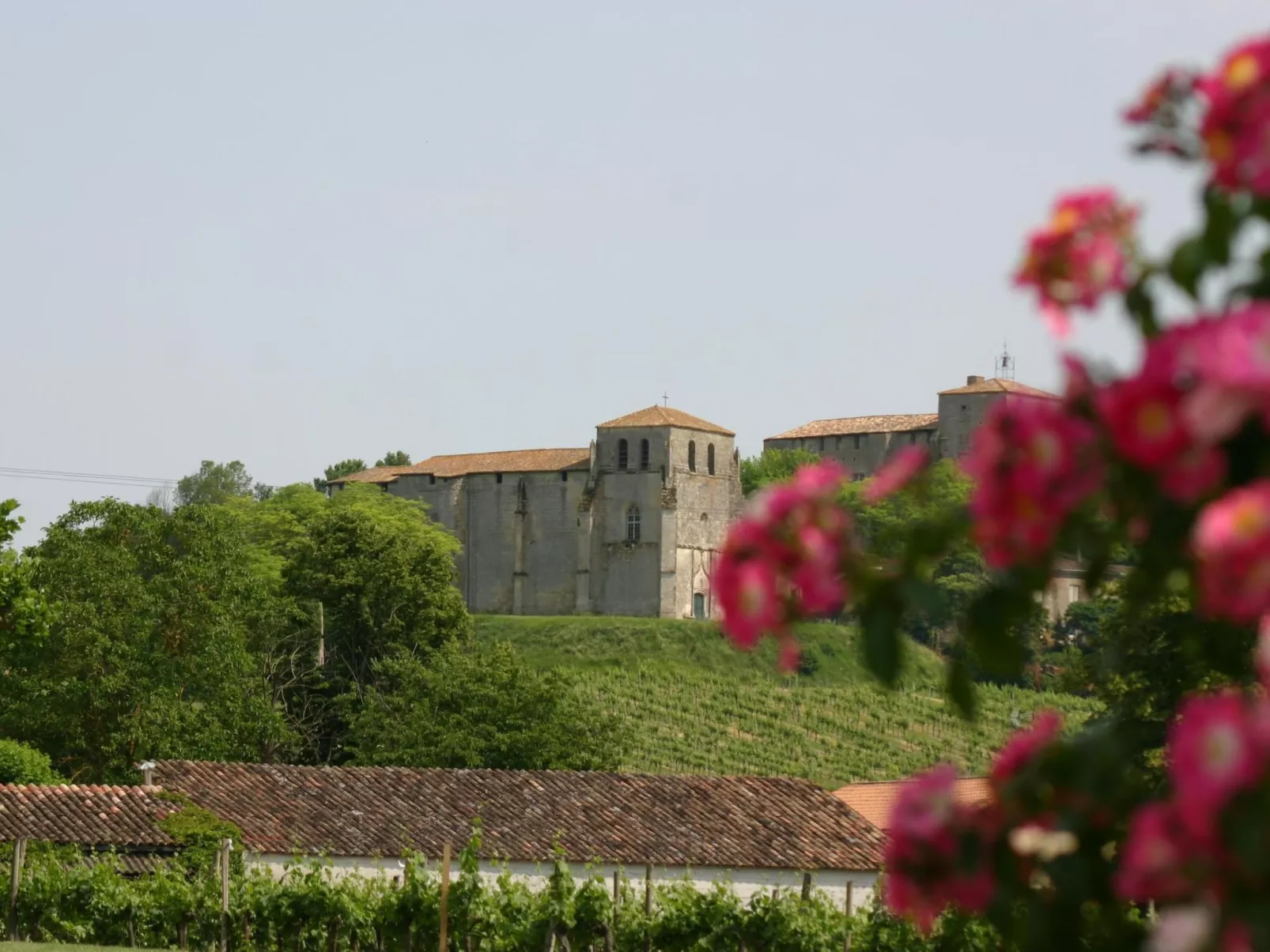 Pujols Petite-Outside