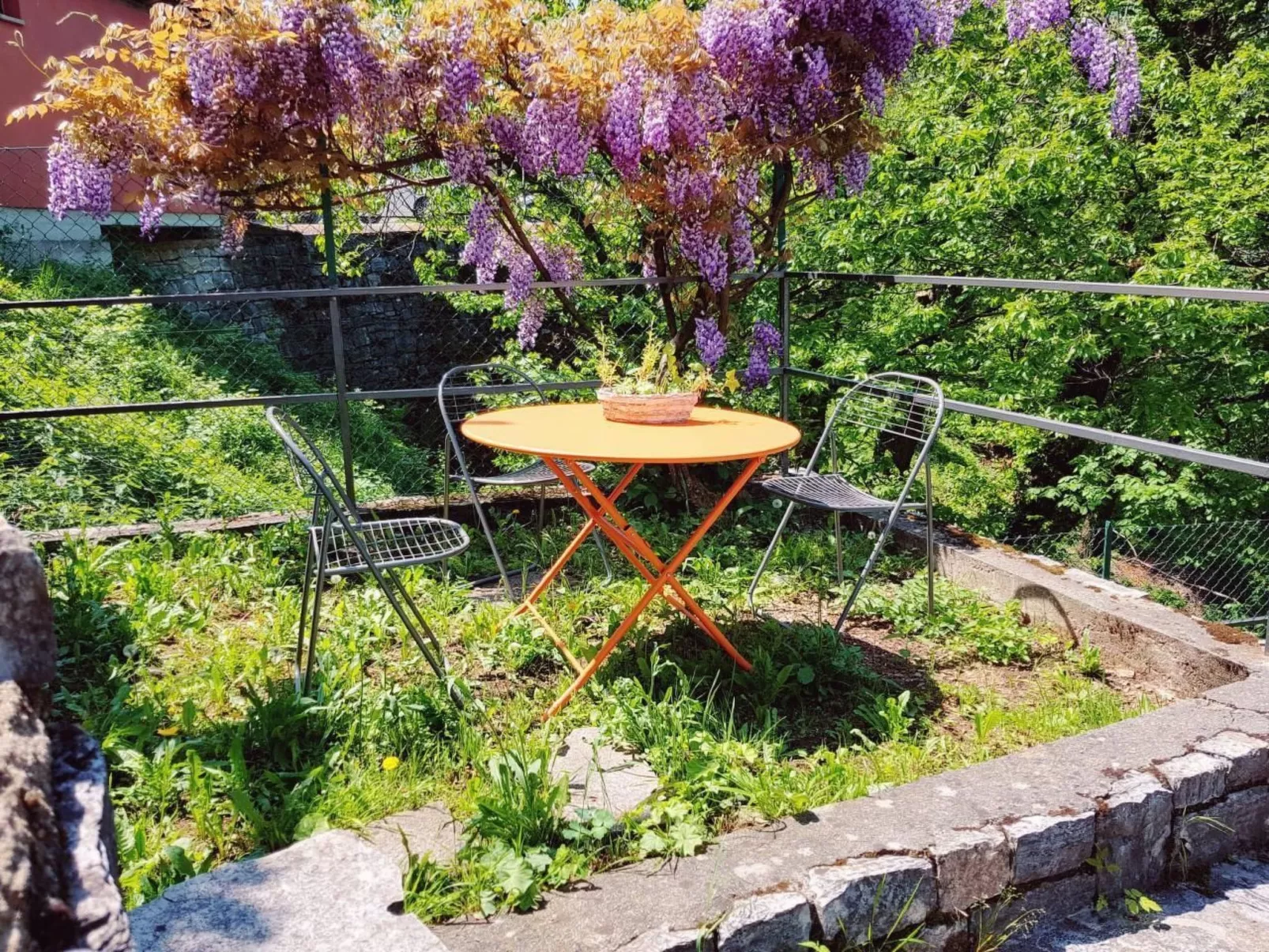 Mit Bergblick-Draußen