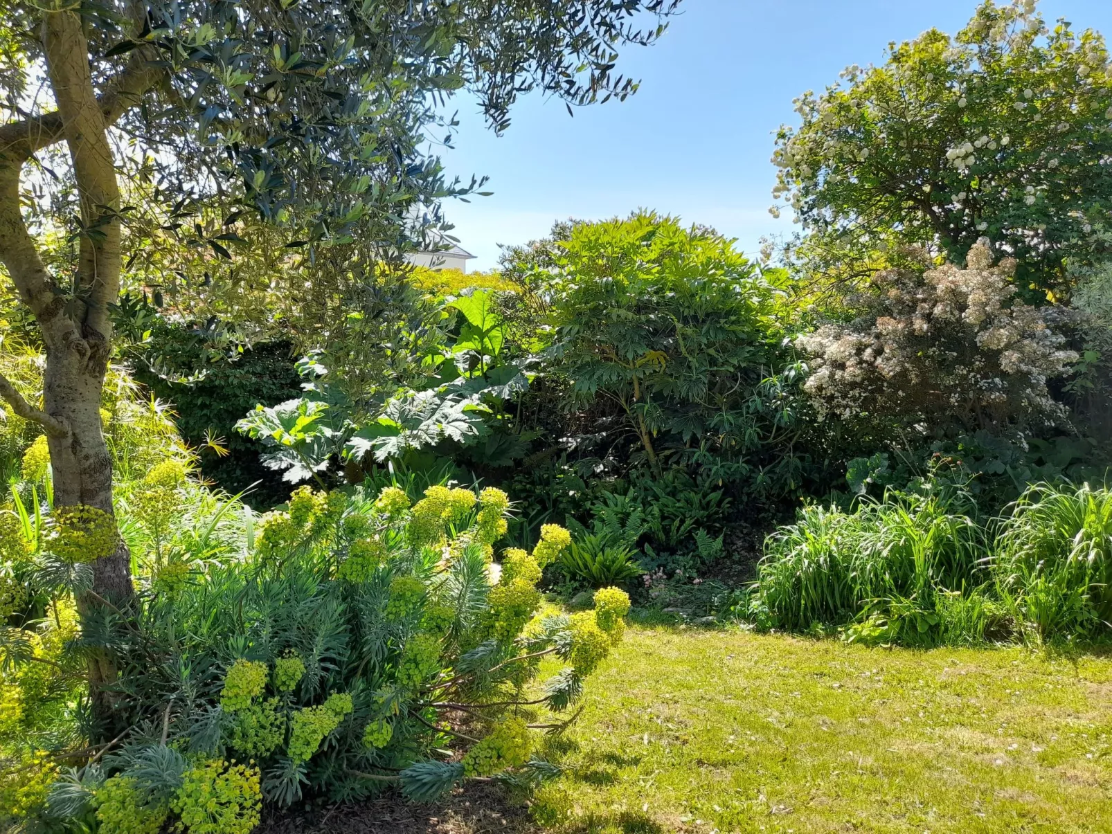Großes Familienhaus mit schön angelegtem Garten-Dehors