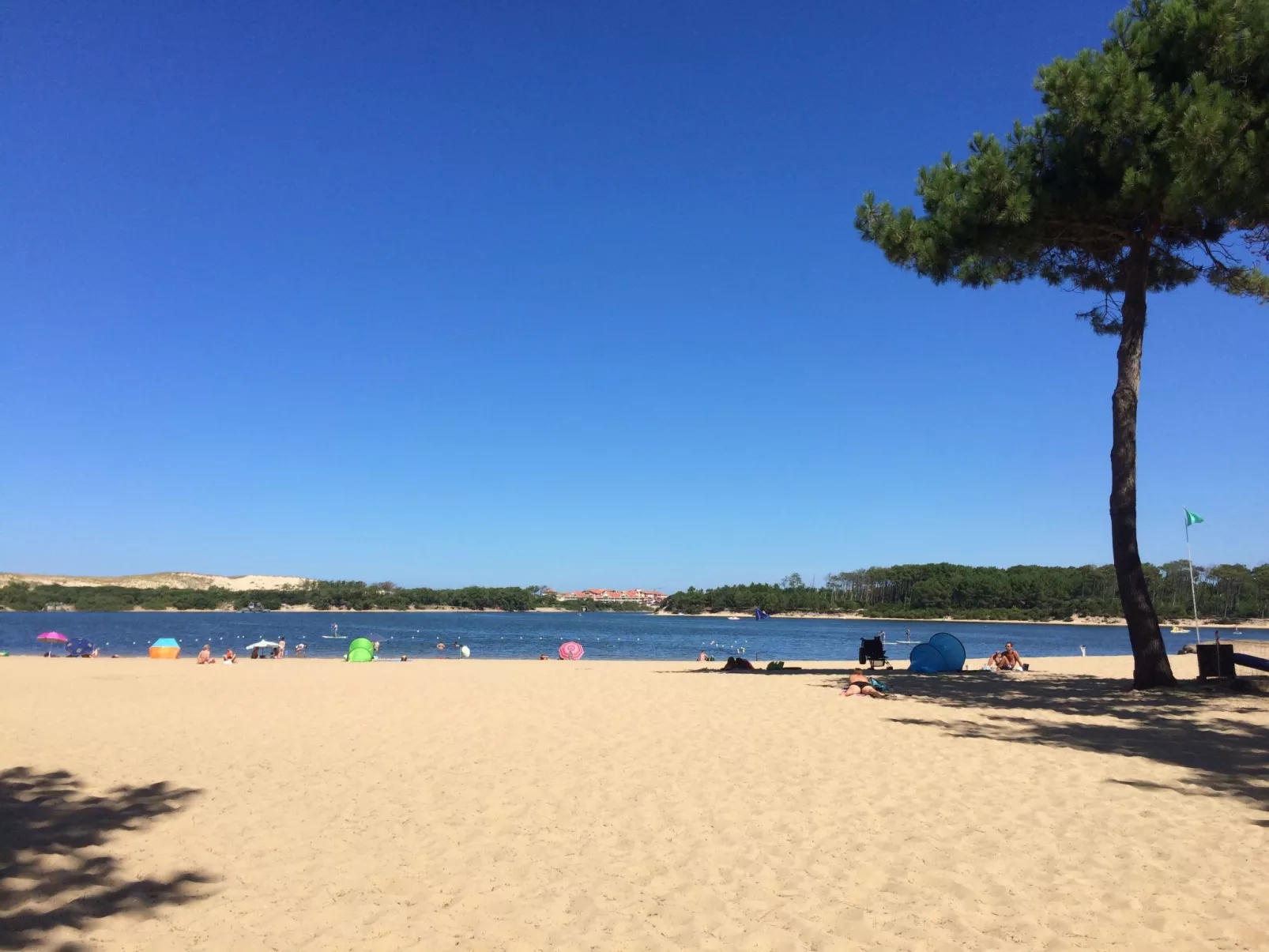 Schönes Appartment in ruhiger Lage in einer baumbestandenen Residenz mit beheiz-Dehors