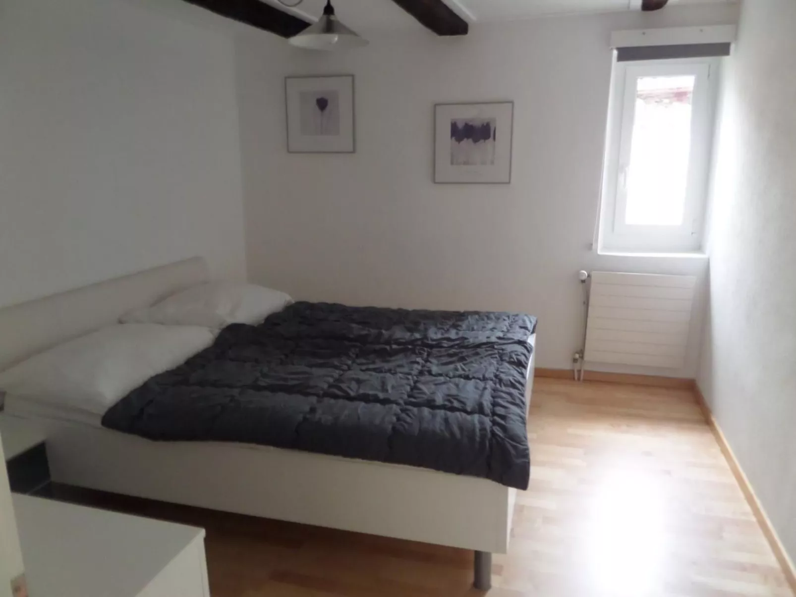 La Tortue - Image-tags.info