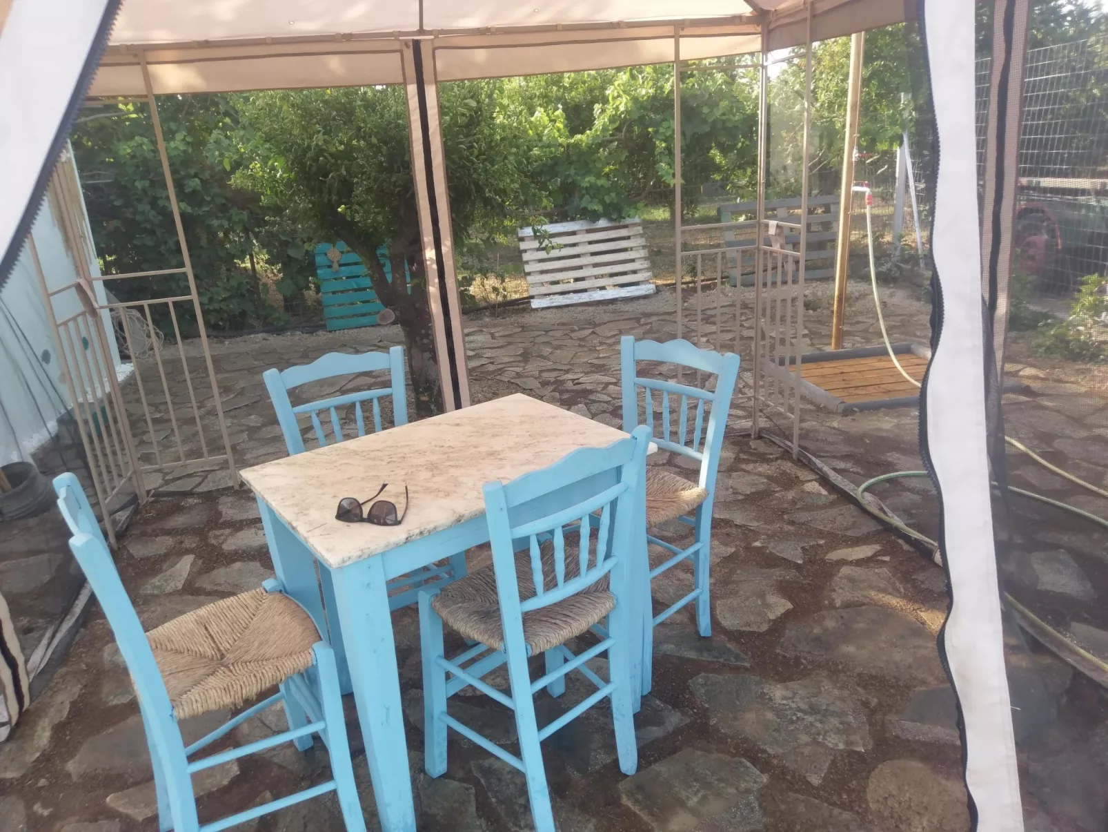 Neben Orangenbaum-Obstgarten-Outside