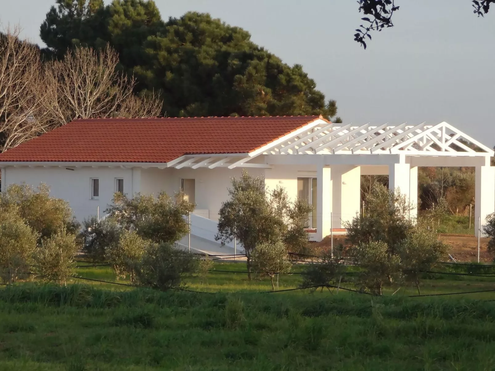 White Villas BV-Outside