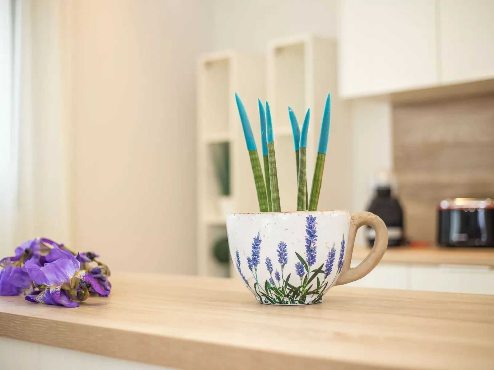 Mit eigenem Garten und Grill-Dedans