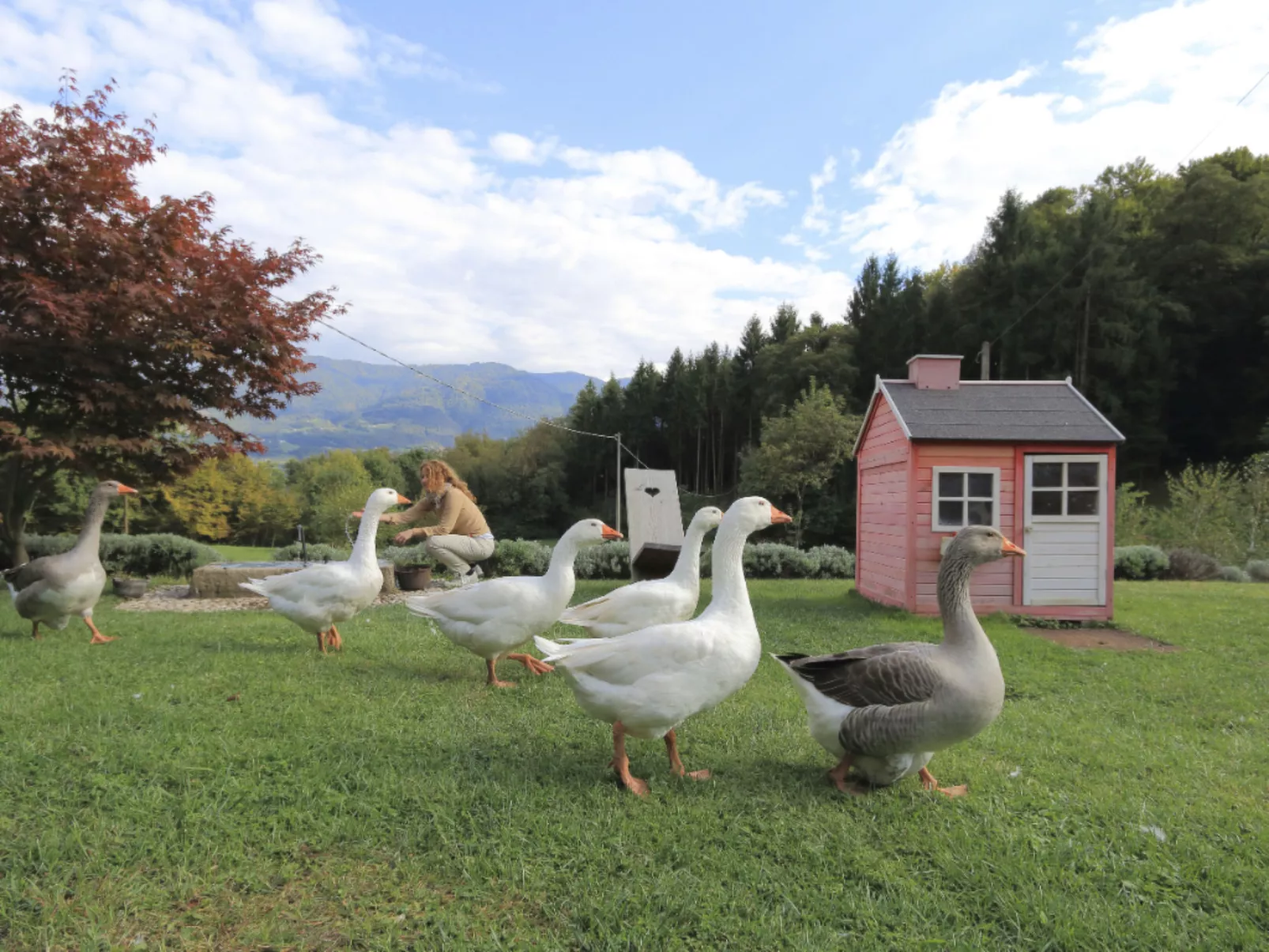 Duck's Cottage für einen Dolomitenurlaub-Outside