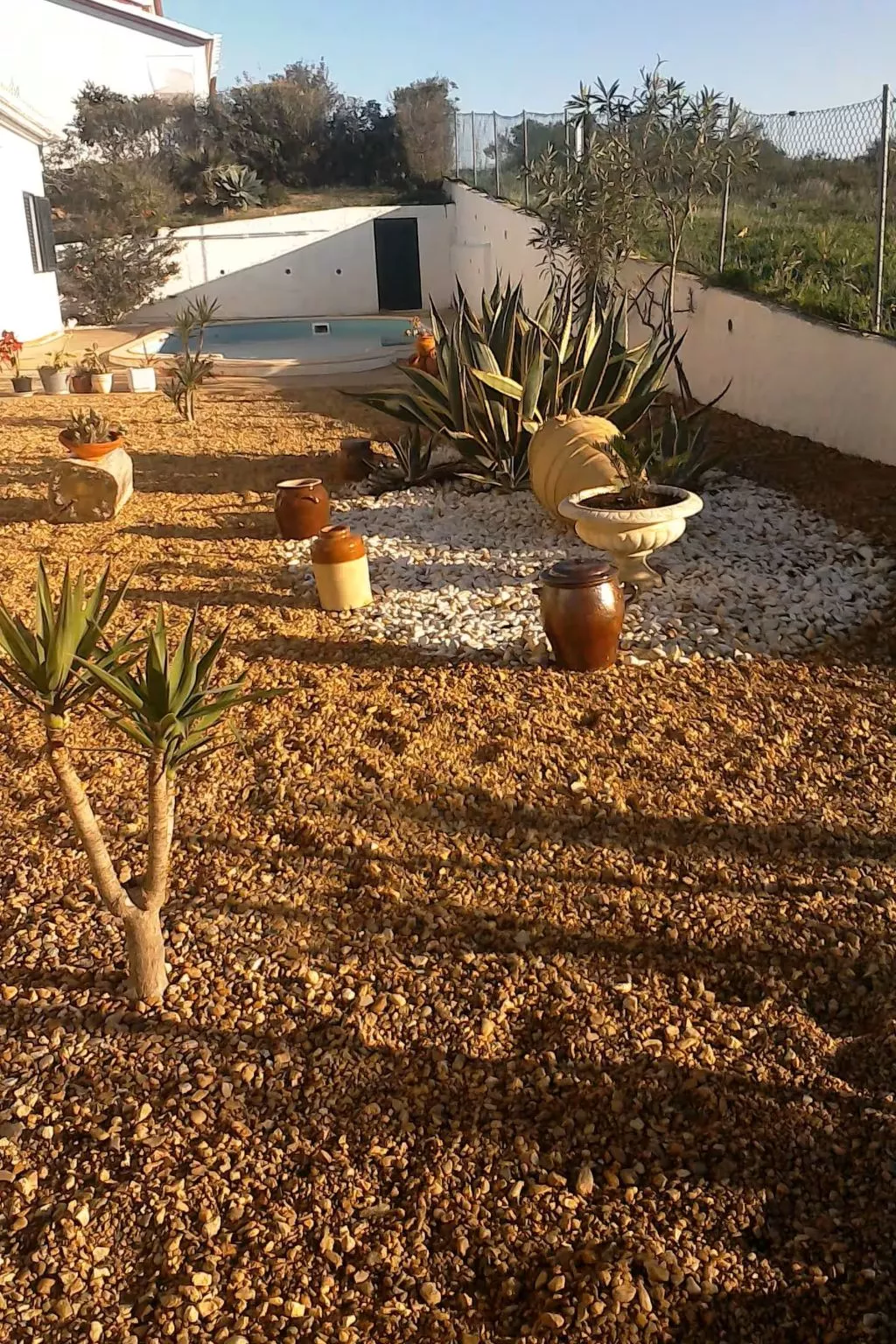 "brigitte" mit Pool-Draußen