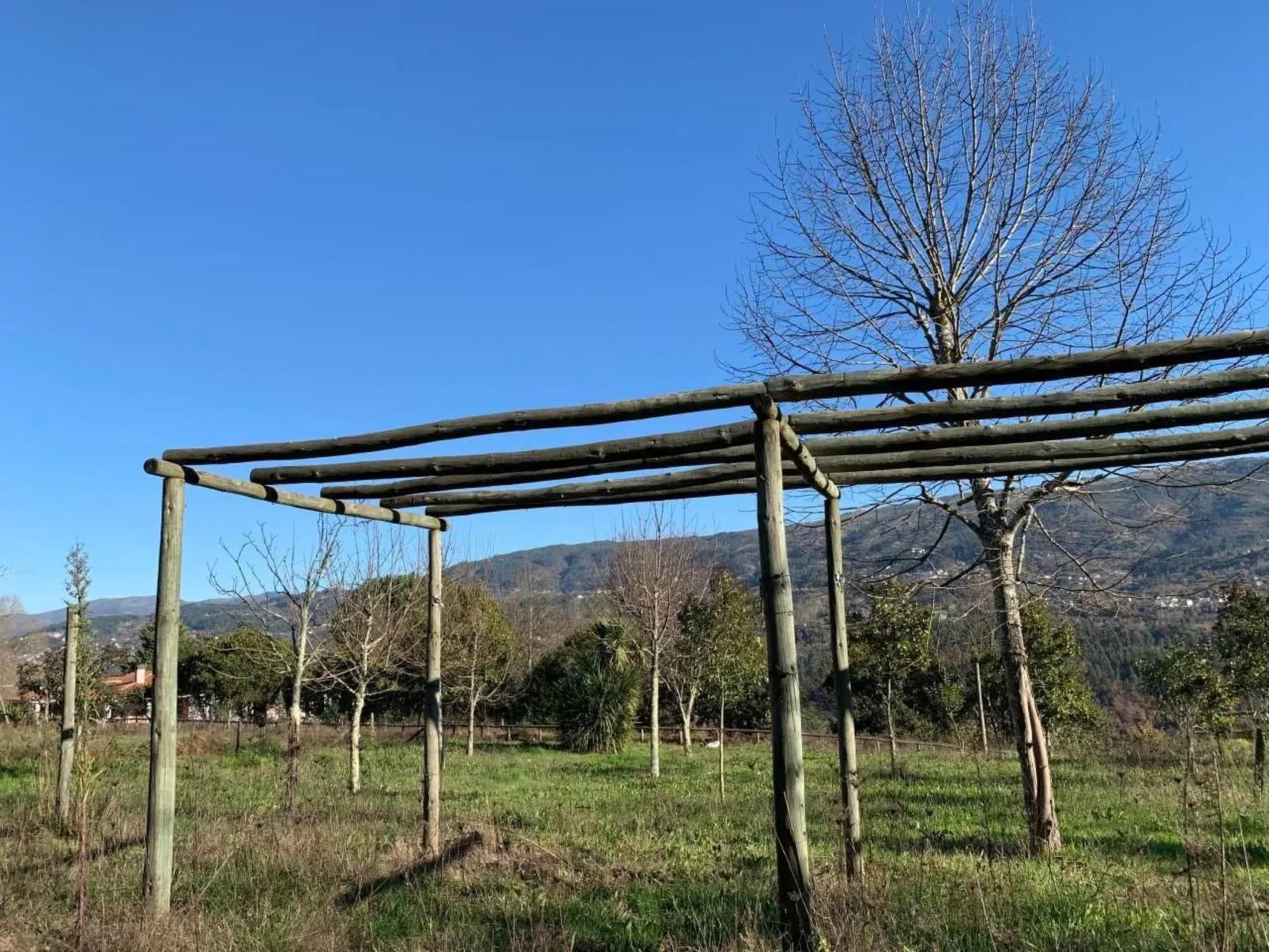 Mit Blick auf das Wasser-Dehors