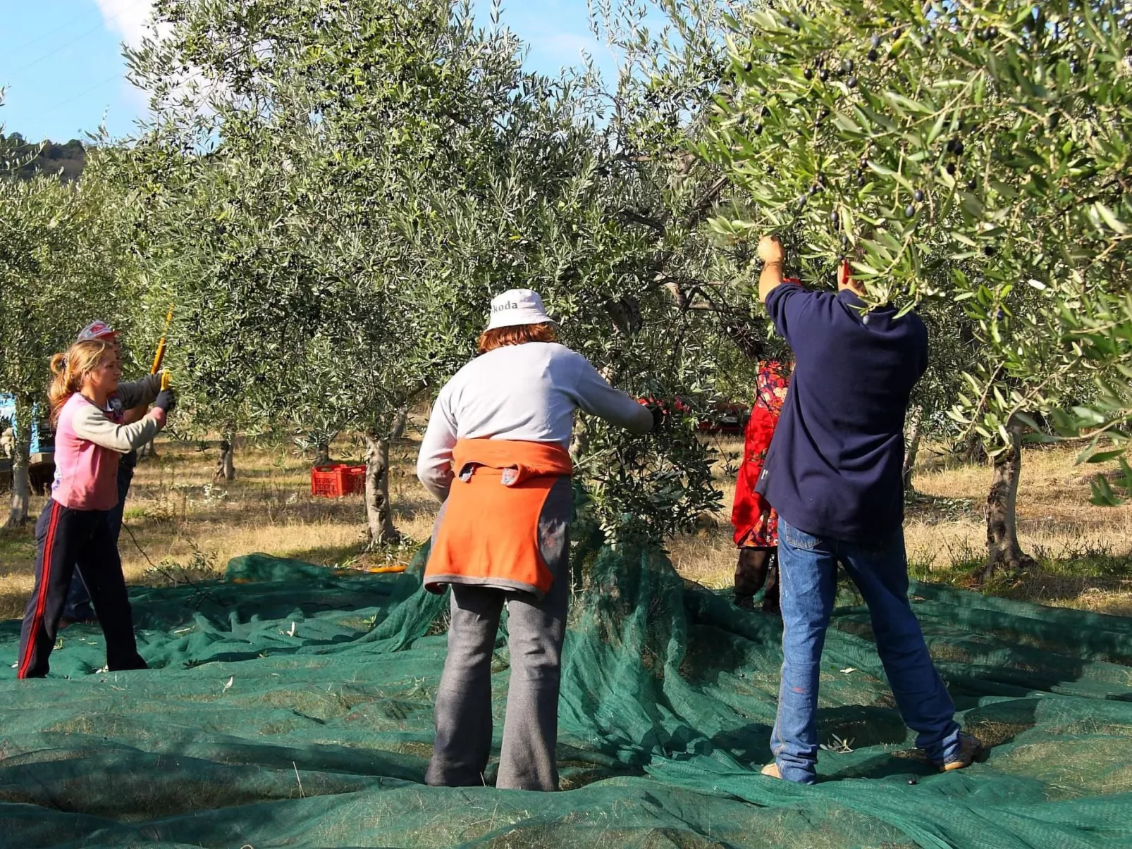 Gemütliches Studio im Erdgeschoss, mit Terrasse-Image-tags.info