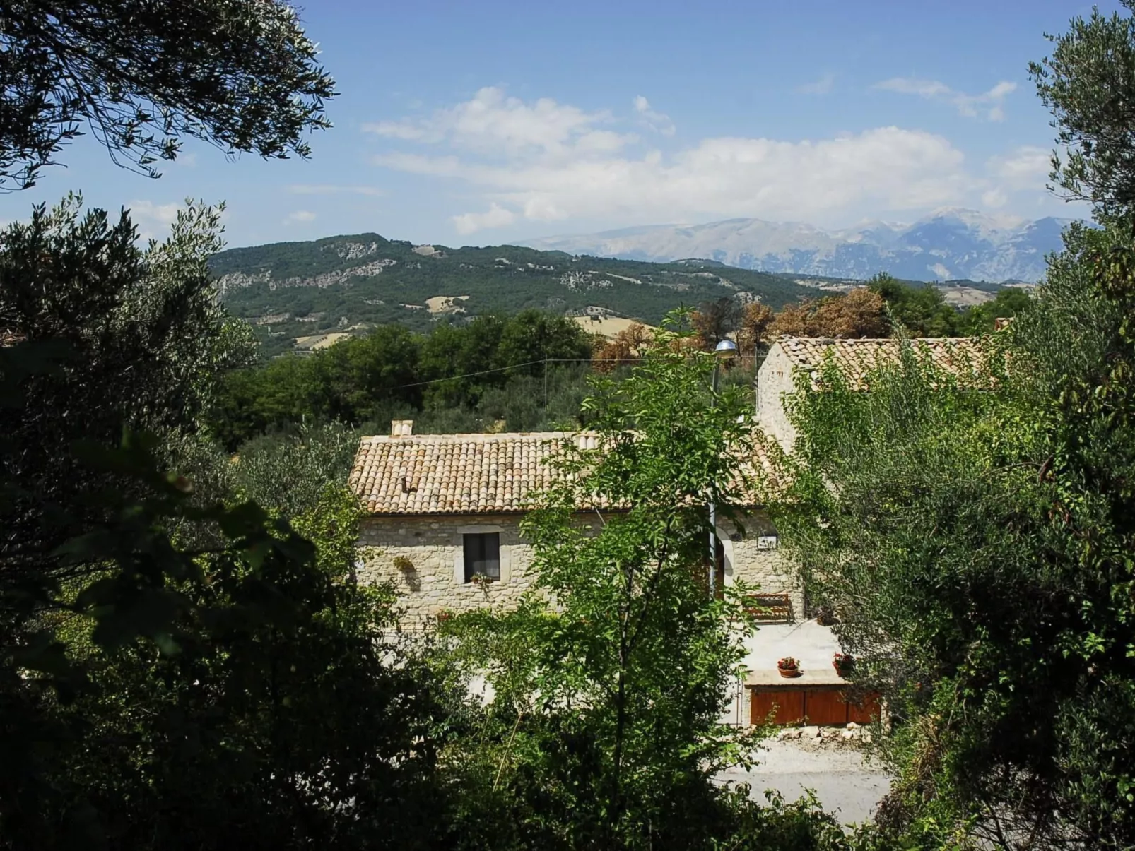 Das Maulbeerbaum-Apartment-Outside
