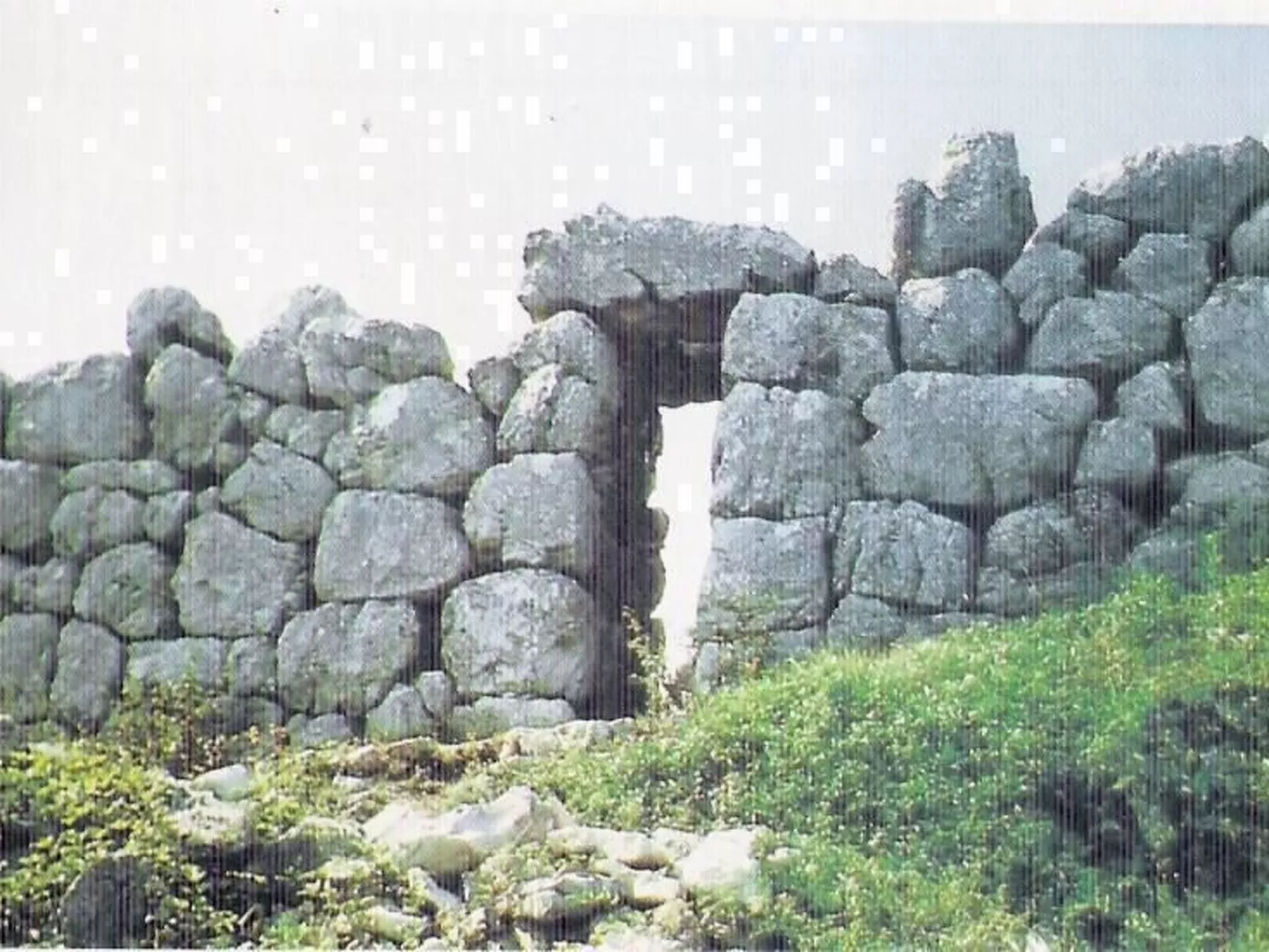 Wohnung L'Ulivo-Outside