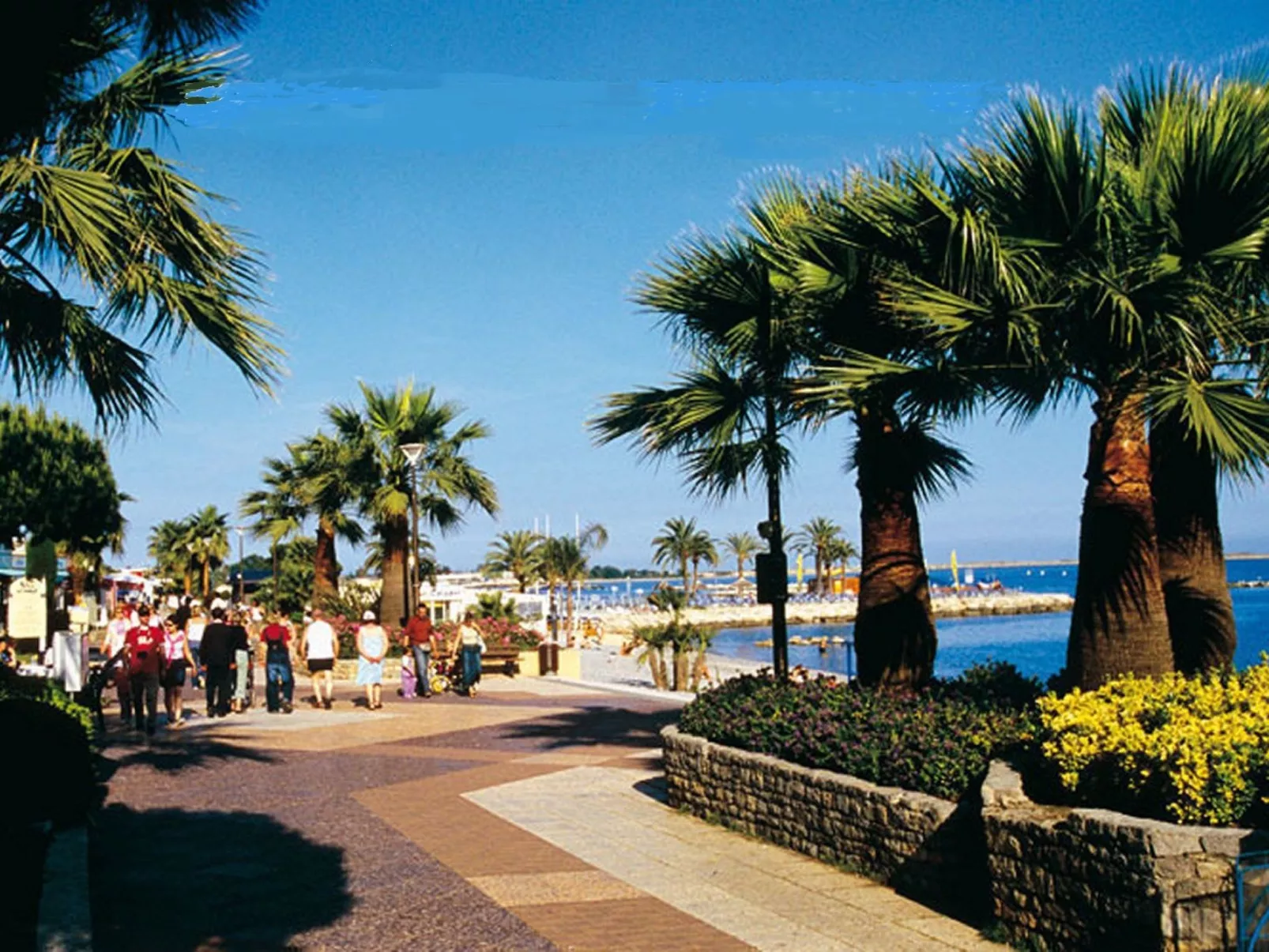 Wohnung "Les roses" auf einem eingemauerten Grundstück-Outside