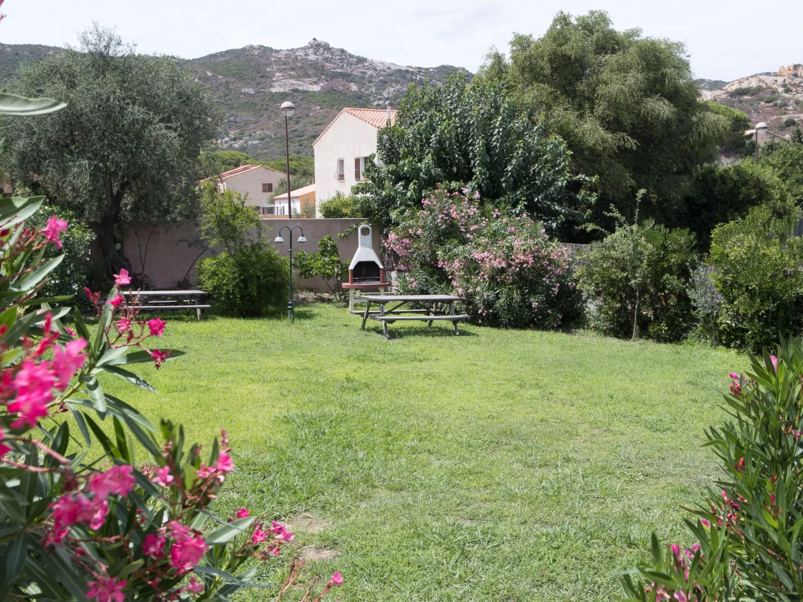 Alzu - Les Muriers-Dehors