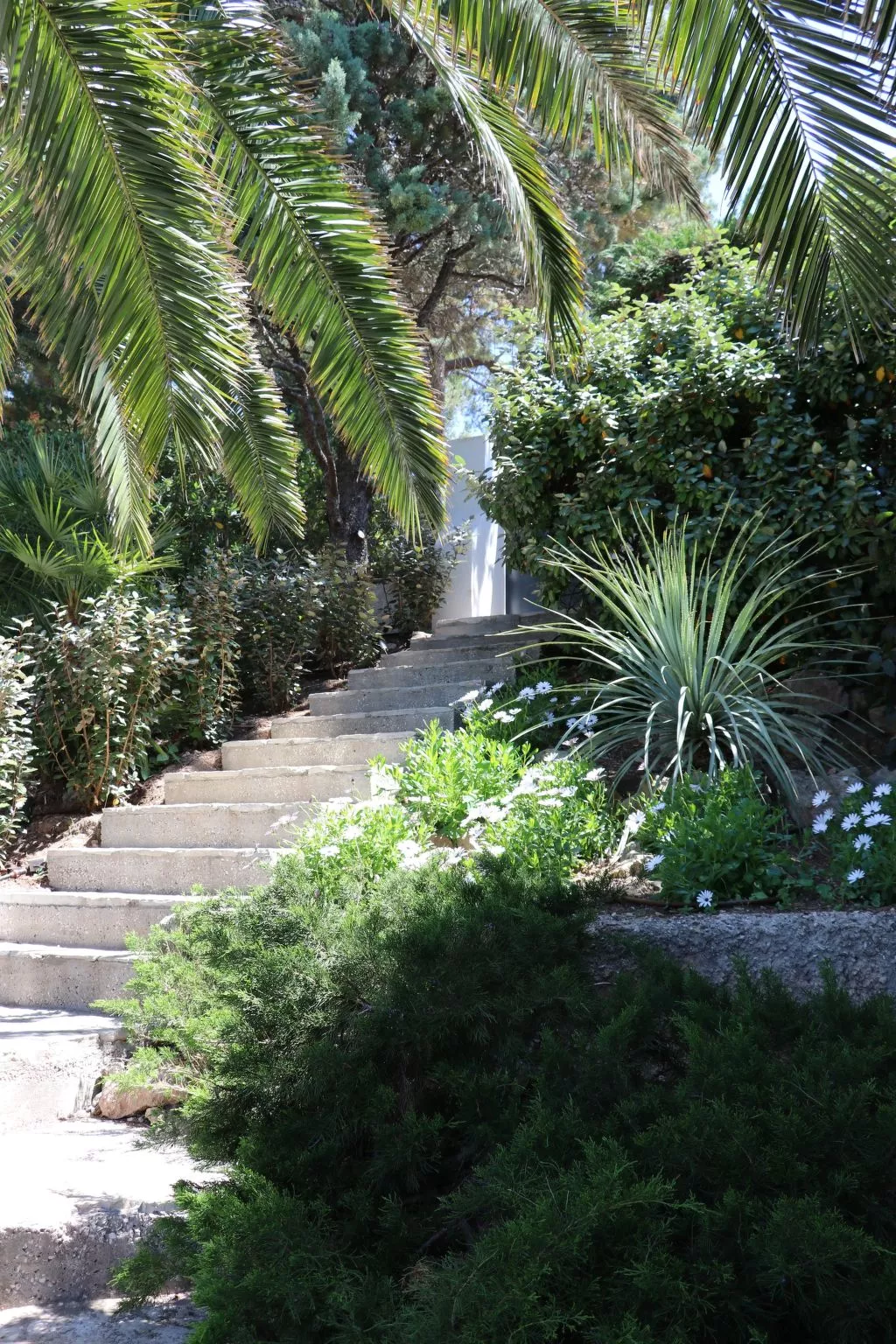 "Mesomax" mit Meerblick-Dehors