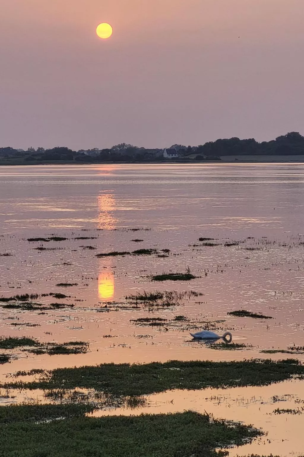 "Les Gites d'Aline"-Draußen