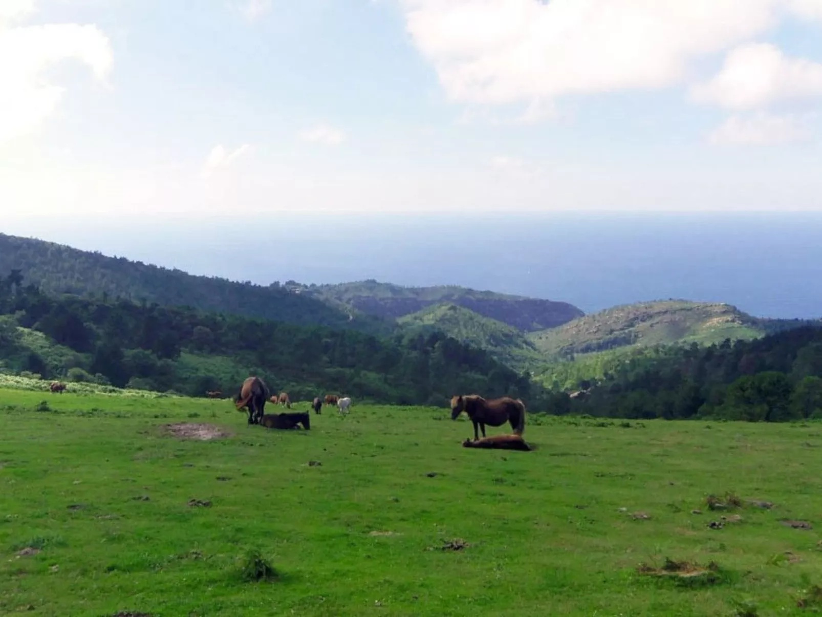 Fewo mit Terrasse-Outside