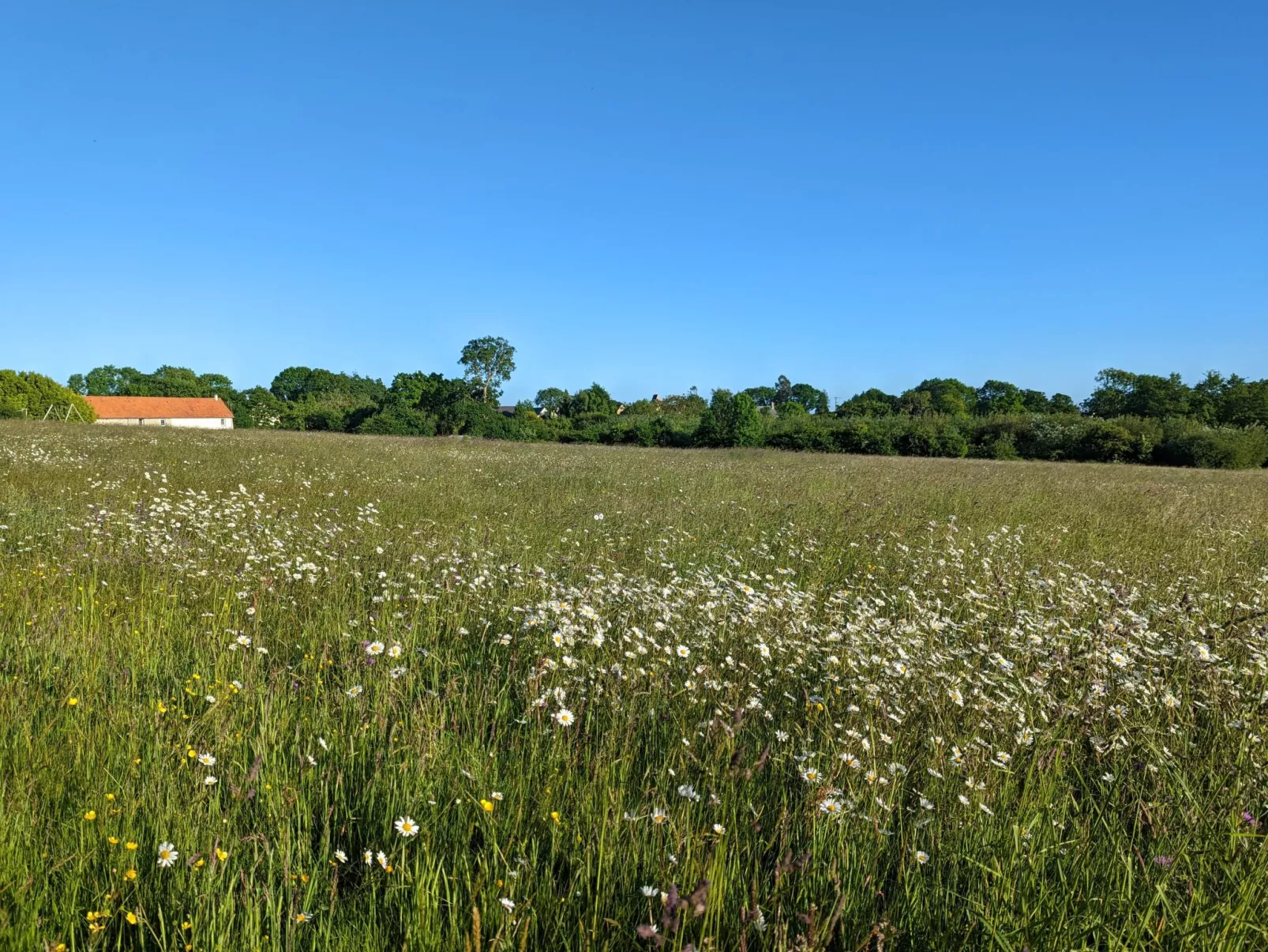 Helles, offenes Ferienhaus, Gemeinschaftspool Hunde-Image-tags.info