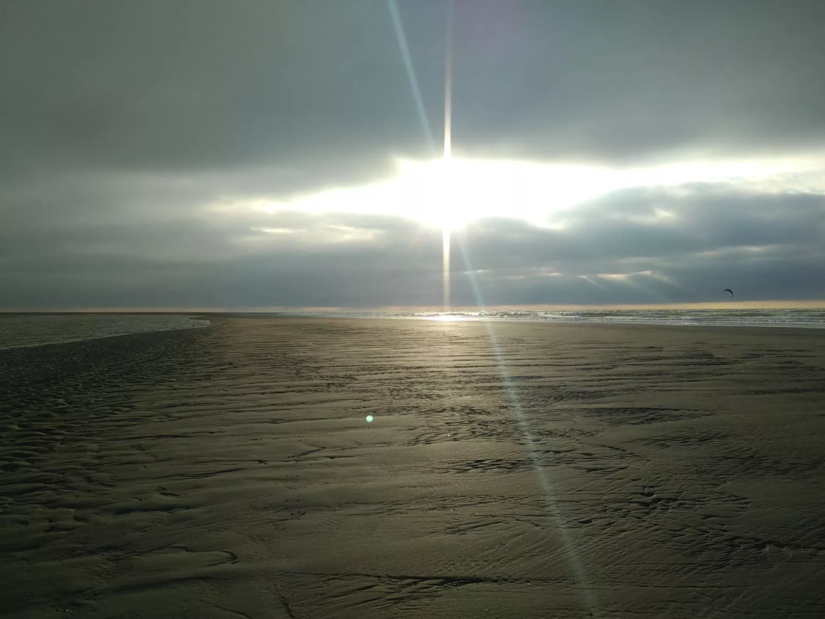 Le Bois aux Ecureuils (Eichhörnchenwald)-Outside