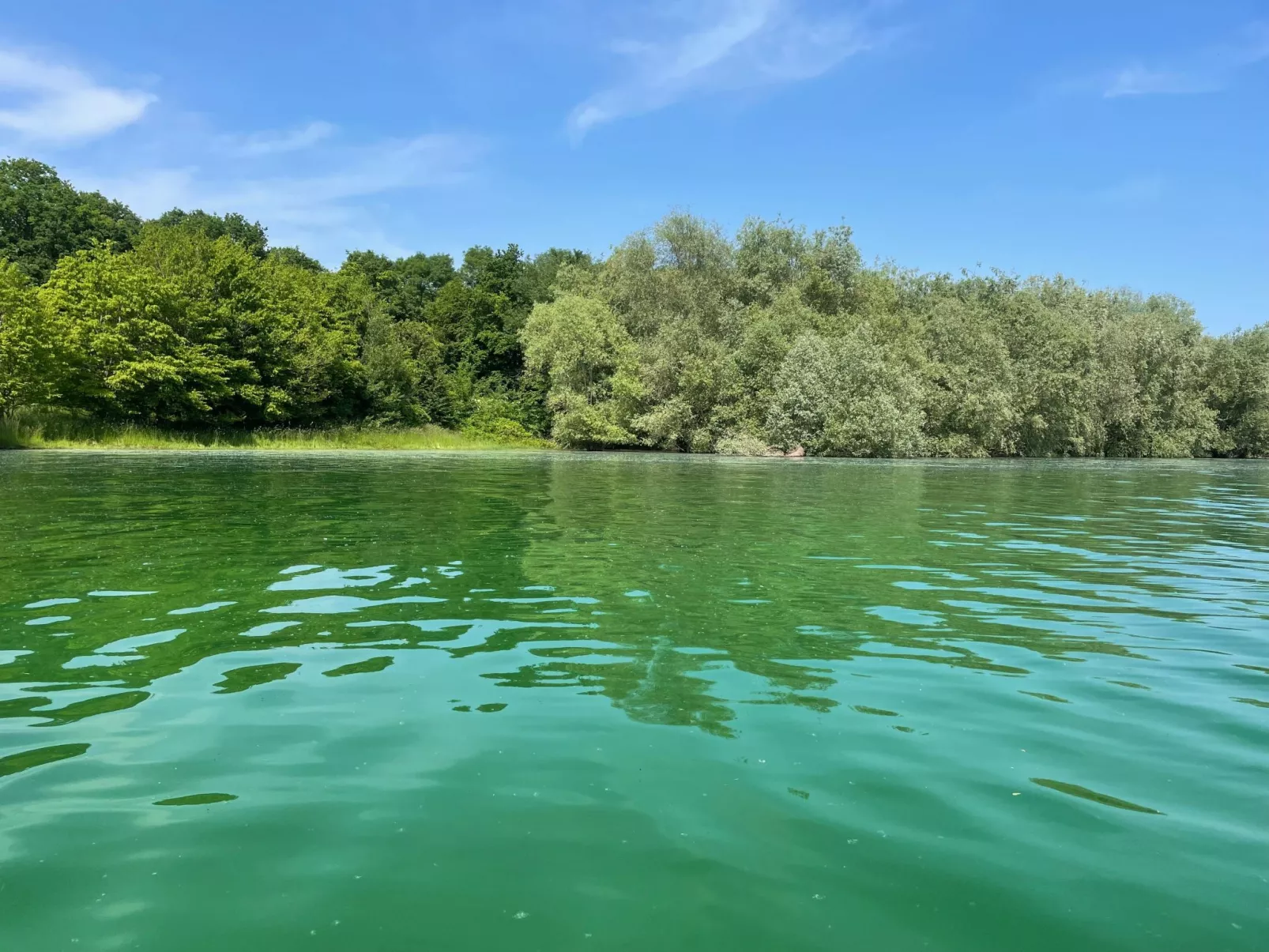 "chalet a giffaumont" klimatisiert am LAC DU DER-Draußen