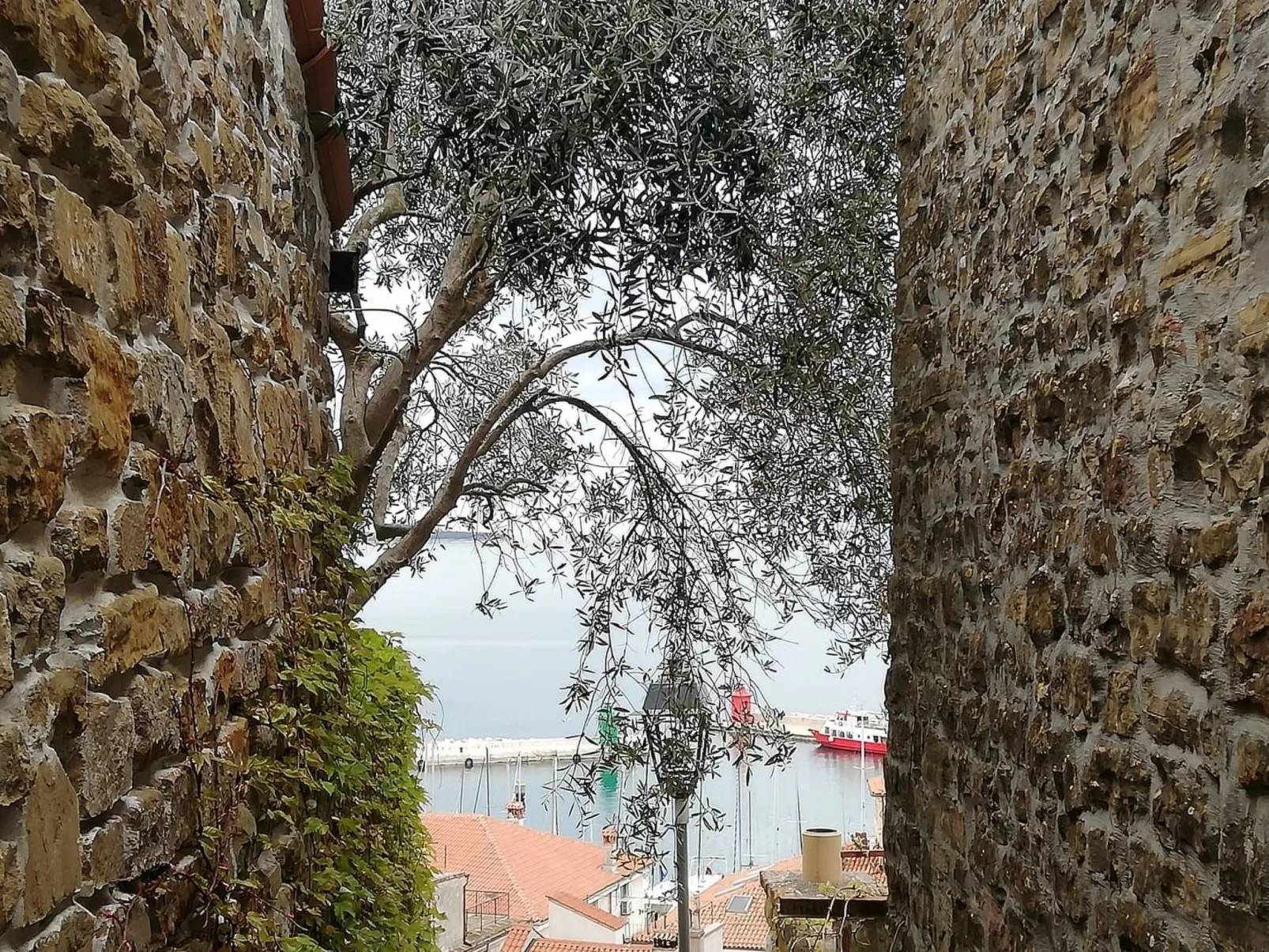 "JMJ Nono Piran"-Image-tags.info