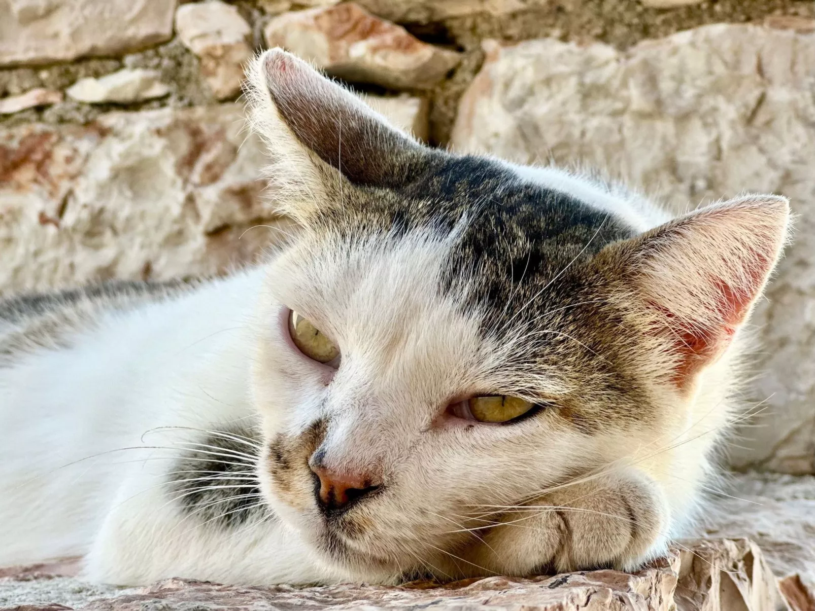 Prächtige Villa in spektakulärer Lage-Image-tags.info