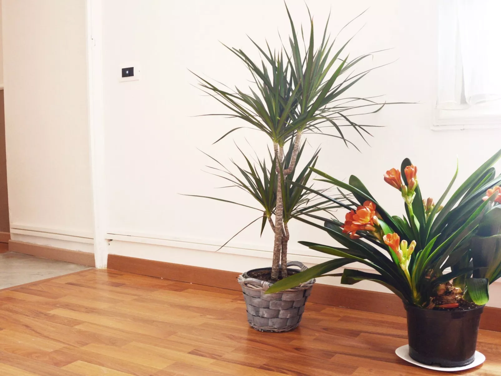 Für 10 Personen ca. 250 m&sup2; in Caltagirone, Sizilien (Provinz Catania)-Dedans