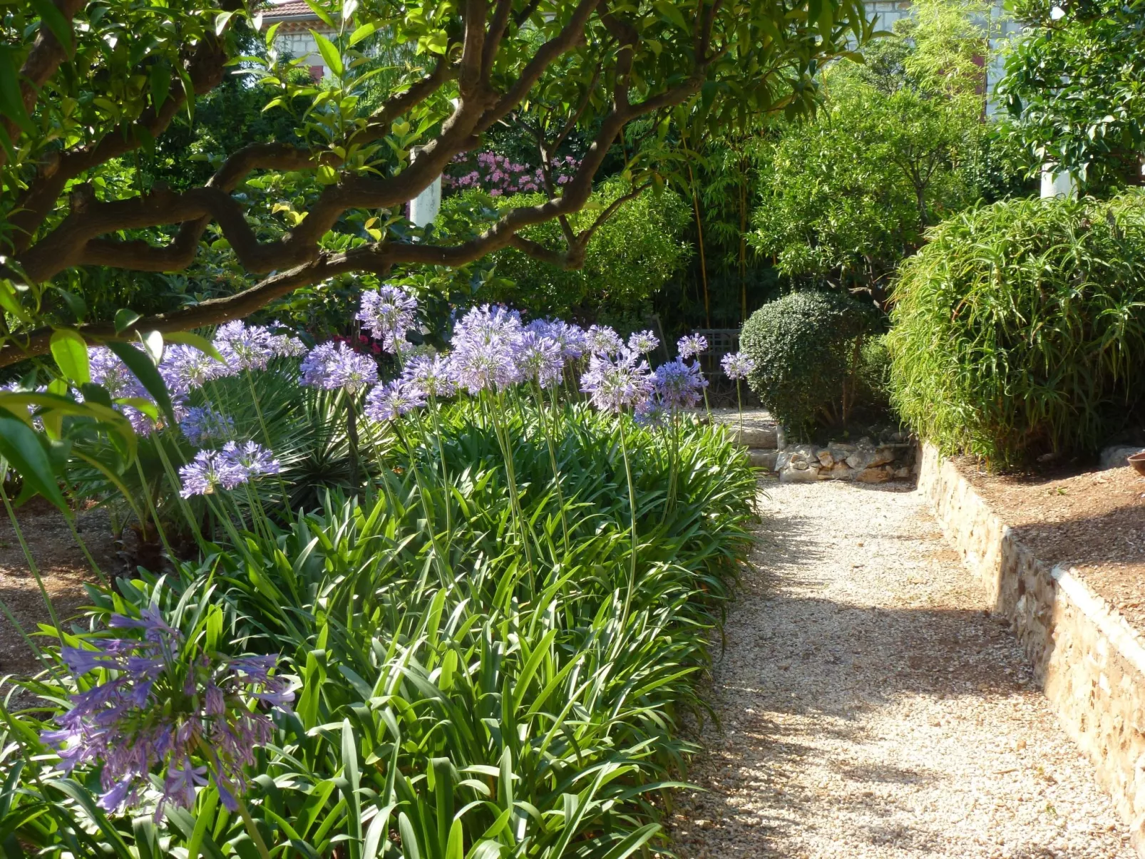 Ferienvilla "Villa Dracoena".-Dehors