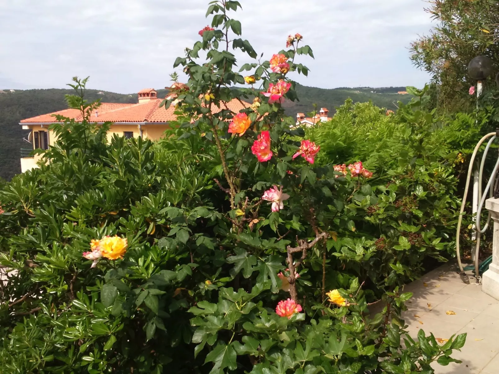 Apartment Bellavista-Draußen