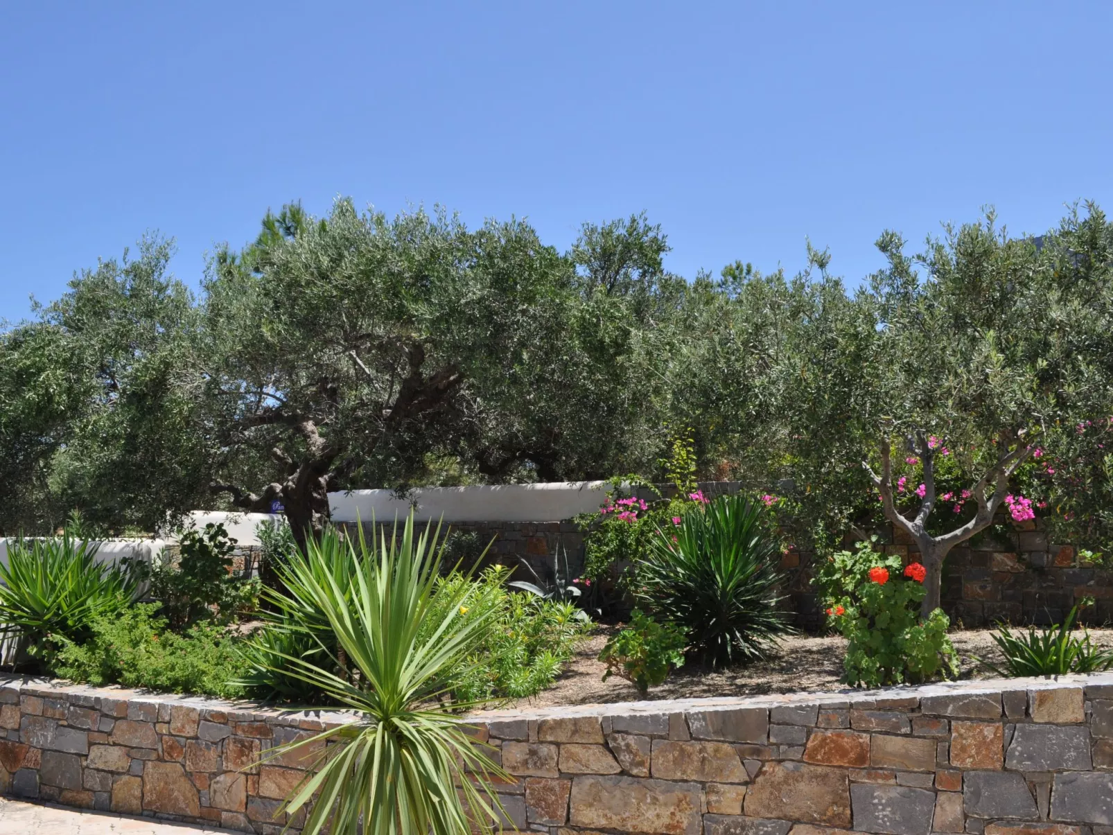 Nefeli Blue Villa in altem Olivenhain, Meerblick-Outside