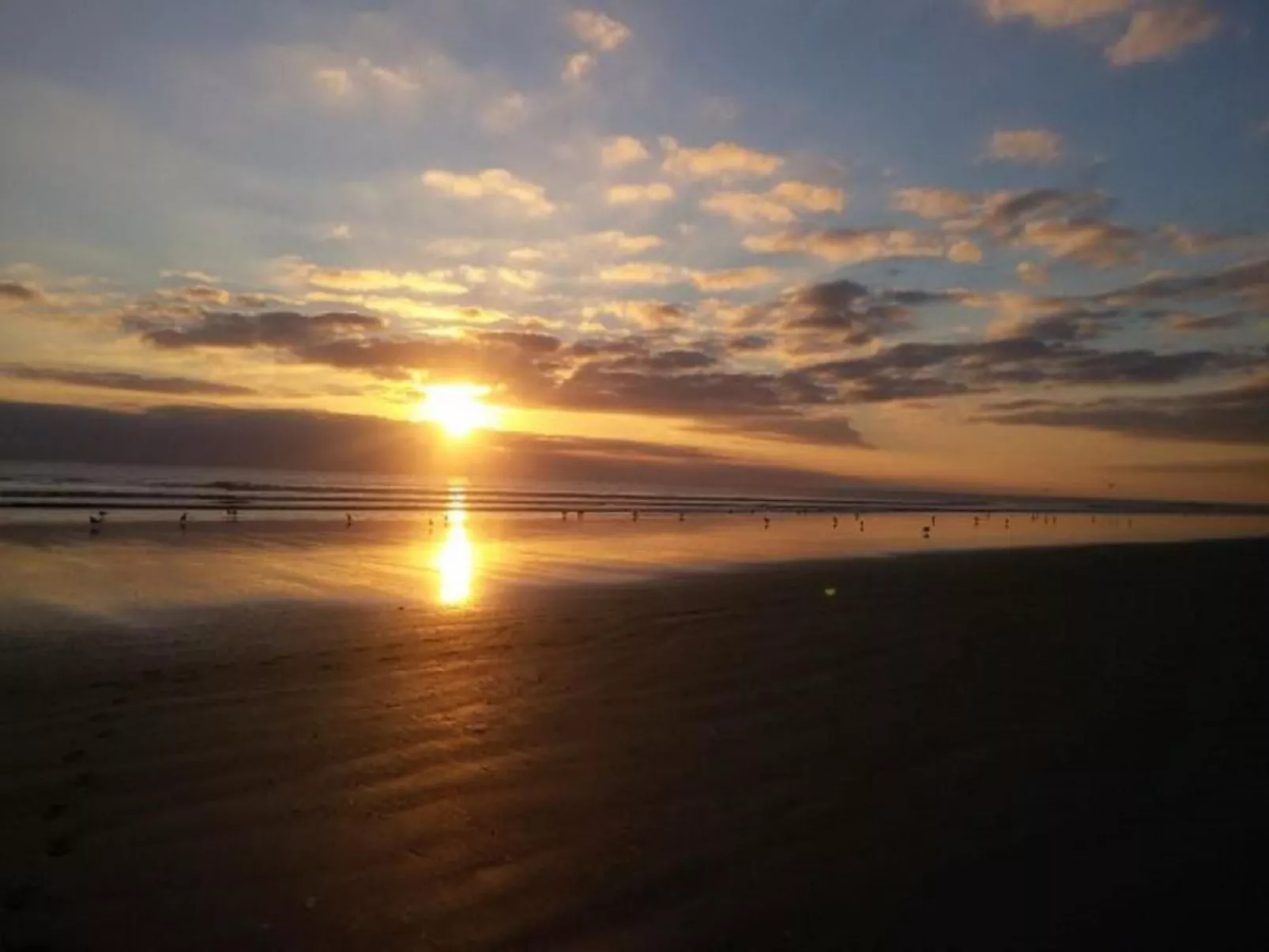 Standort mobiles Haus 3 chambres-Dehors