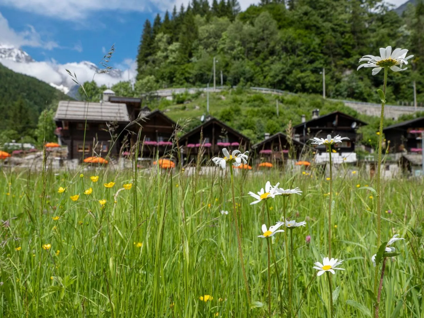 Chalet Borgo Walser Testa 6-Draußen