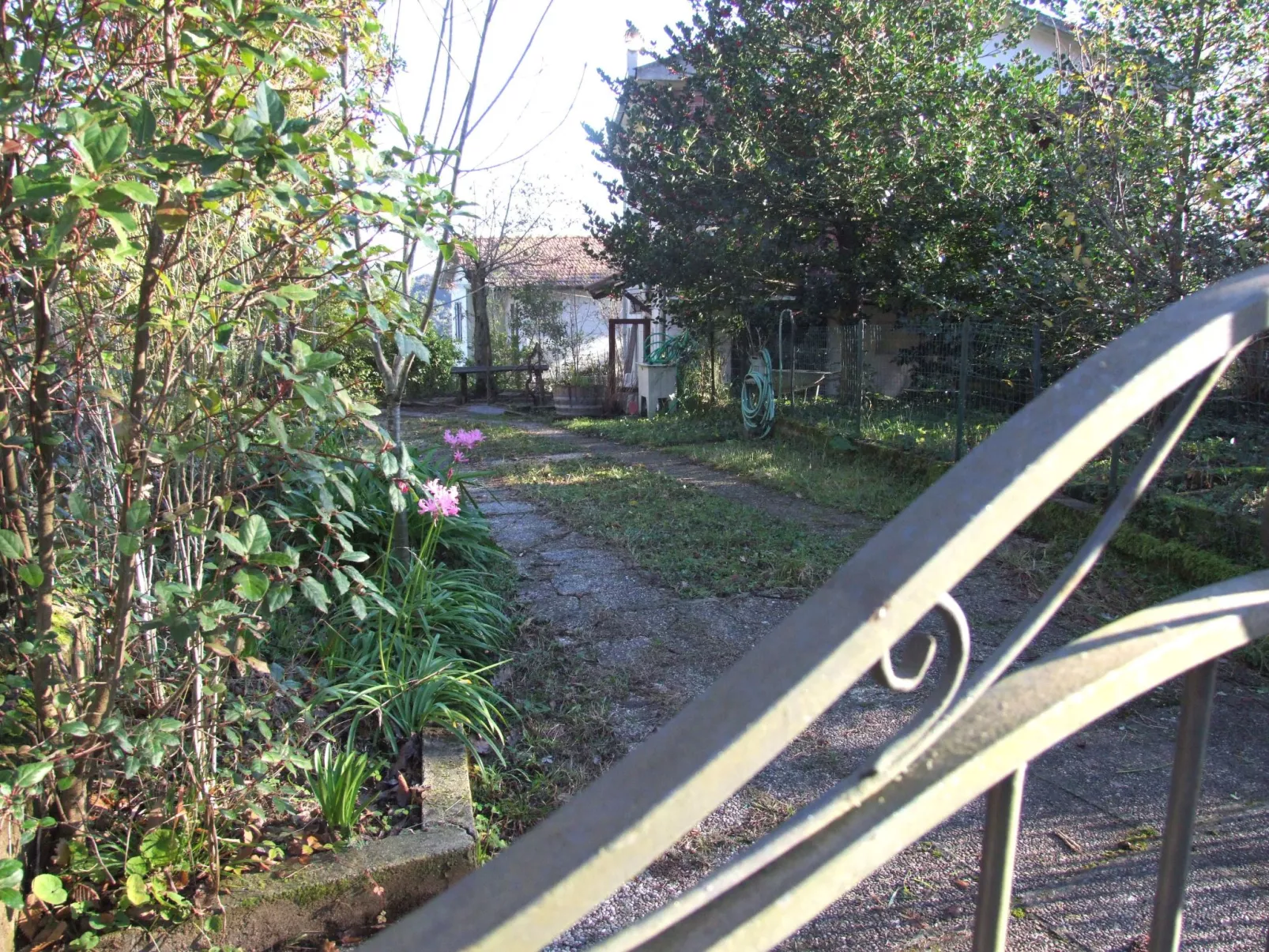 Violetta von Holiday World-Draußen