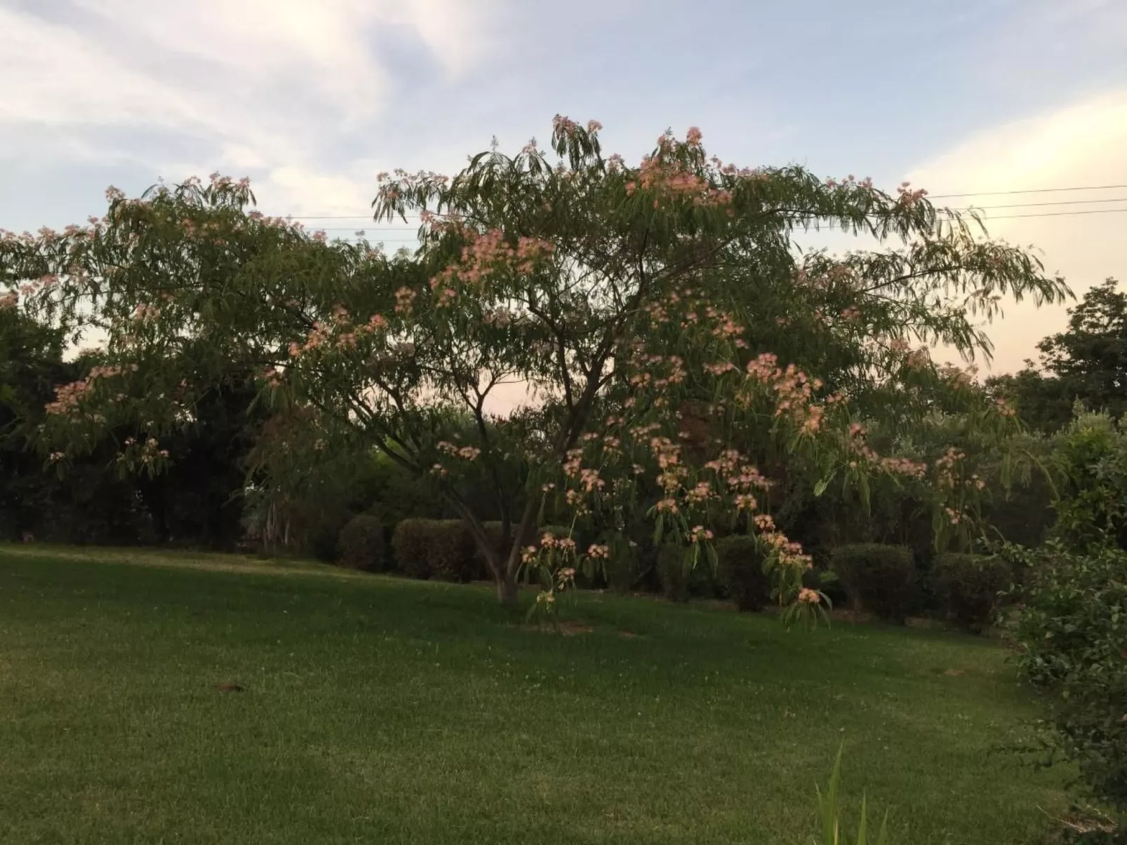 Villa Belle Vue, direkt am Meer, 1-2 Haustiere erlaubt-Image-tags.info