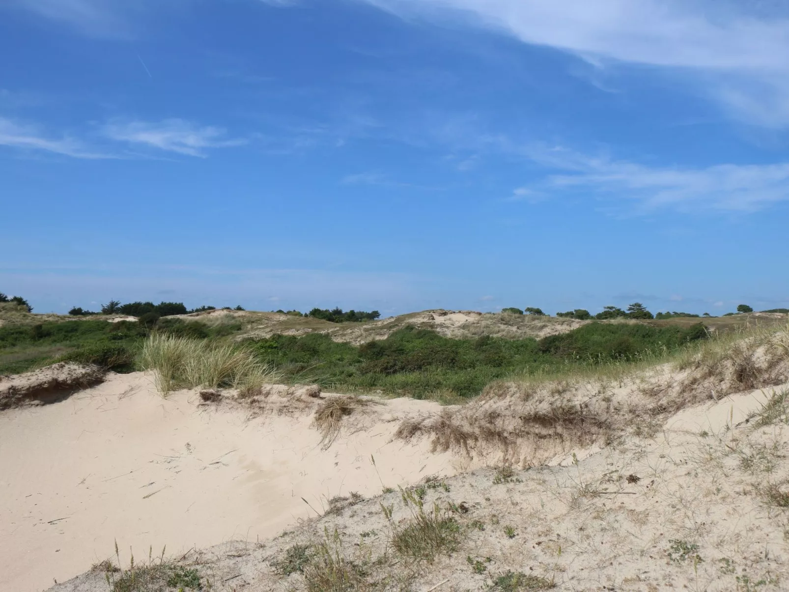 L'Escale dunes, Strände 20 Meter entfernt, Meerblick-Image-tags.info
