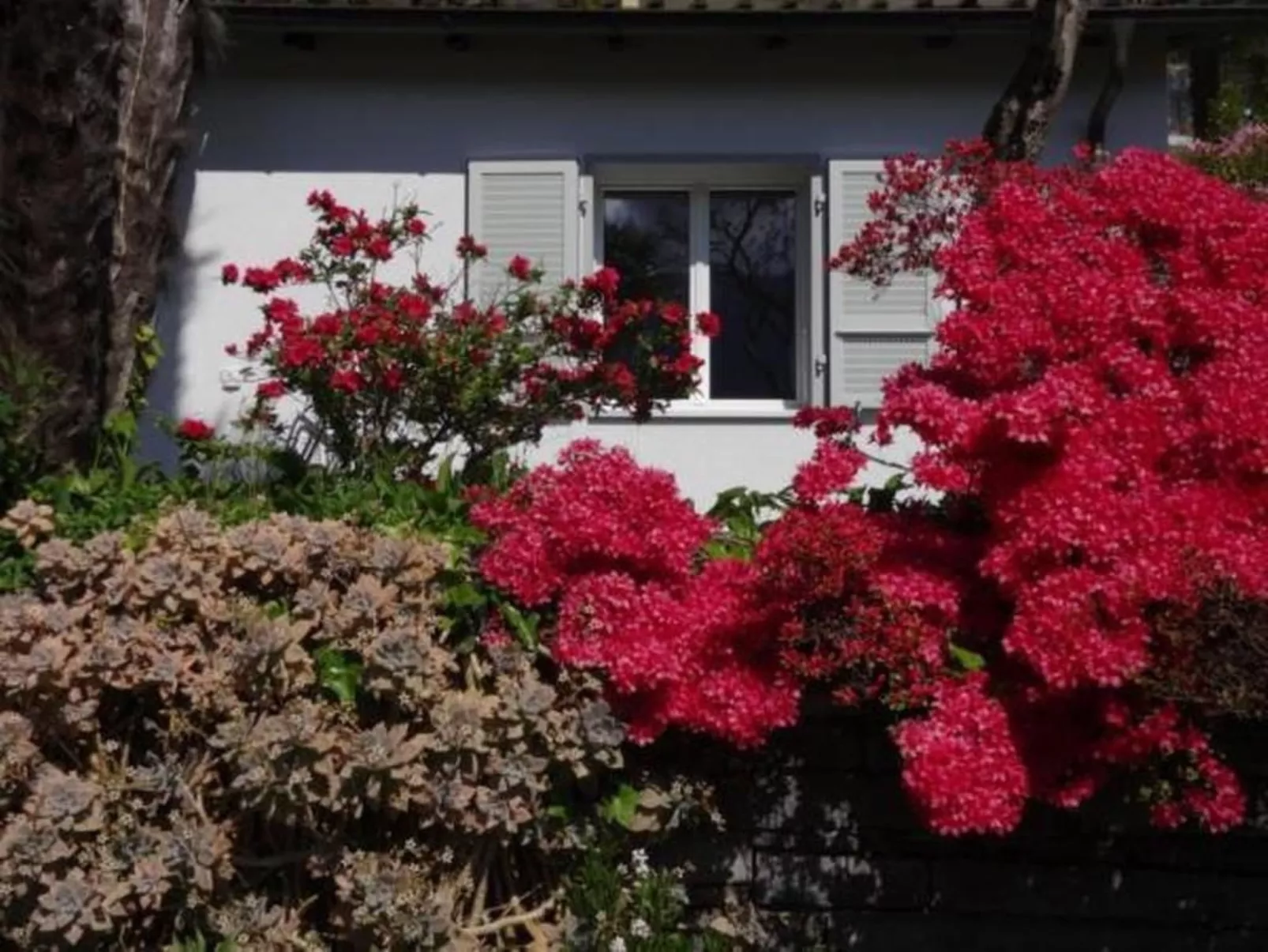 Öko-Haus P Pool Garten herrlicher Seeblick-Image-tags.info