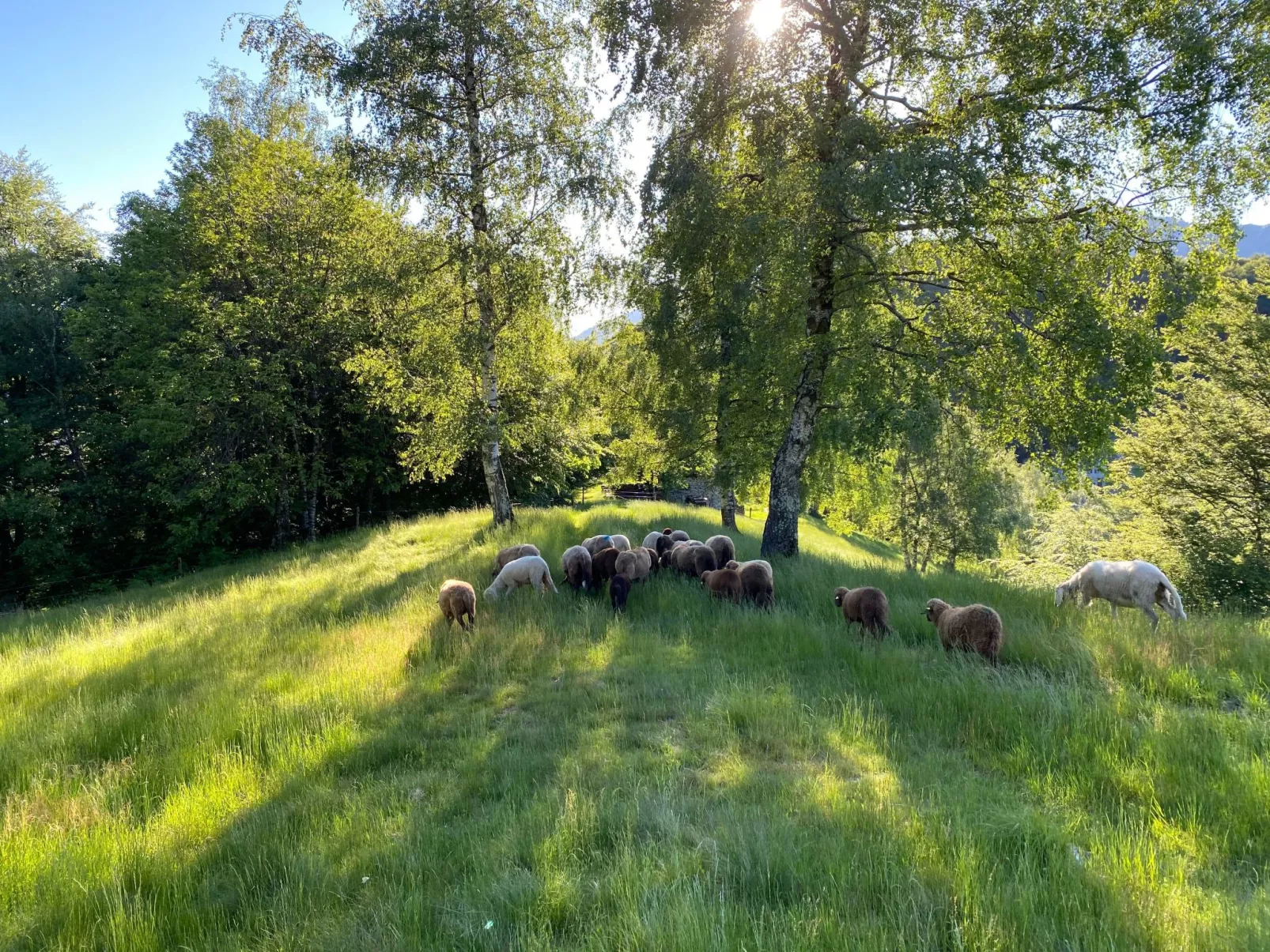 Typisches Tessiner Landleben im Centovalli-Dehors