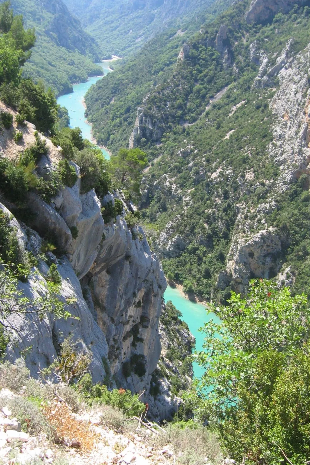 Les amandiers-Dehors