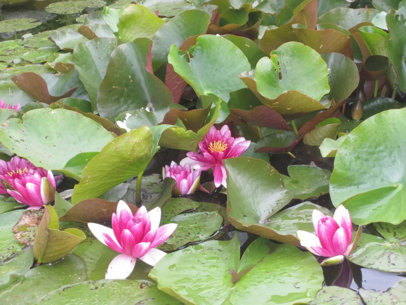 Landhaus am See-Outside