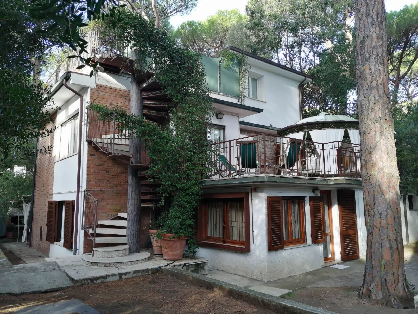 'Camelia' mit Terrasse-Outside