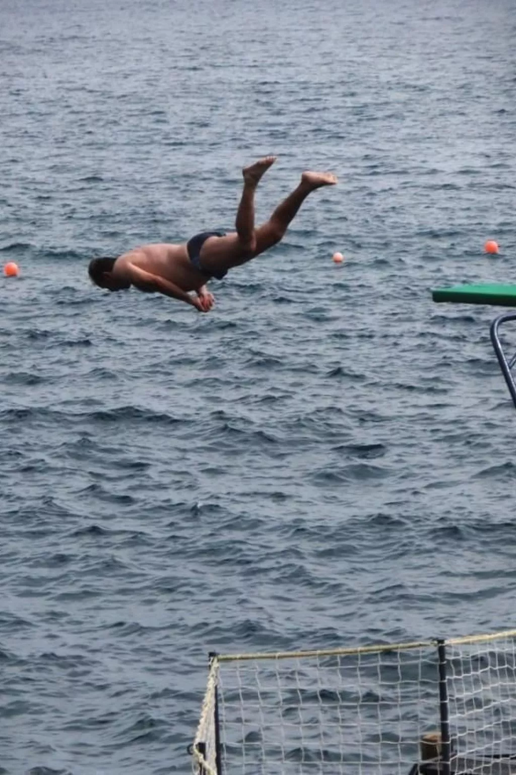 Seaview Refugium 633-Image-tags.info