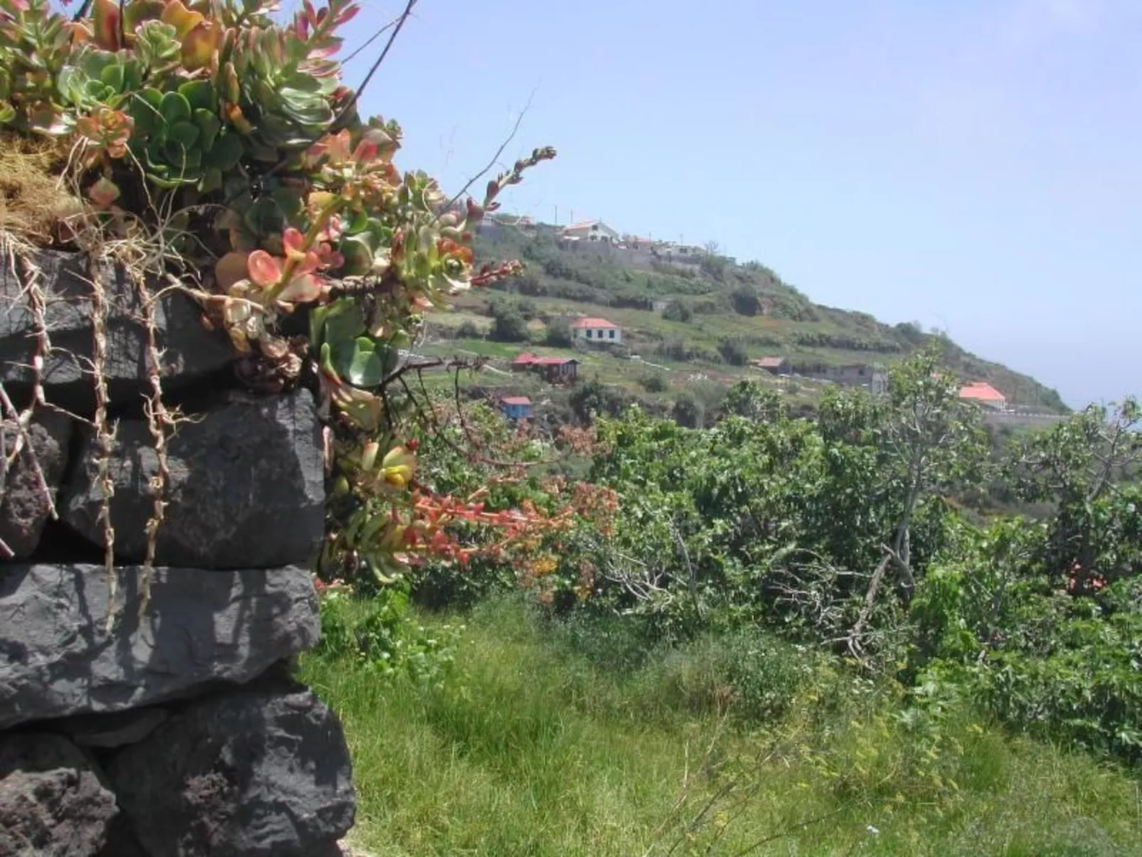 In Canhas mit Schönem Garten-Draußen